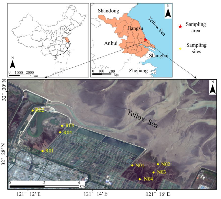 Jmse 09 01453 g001 550