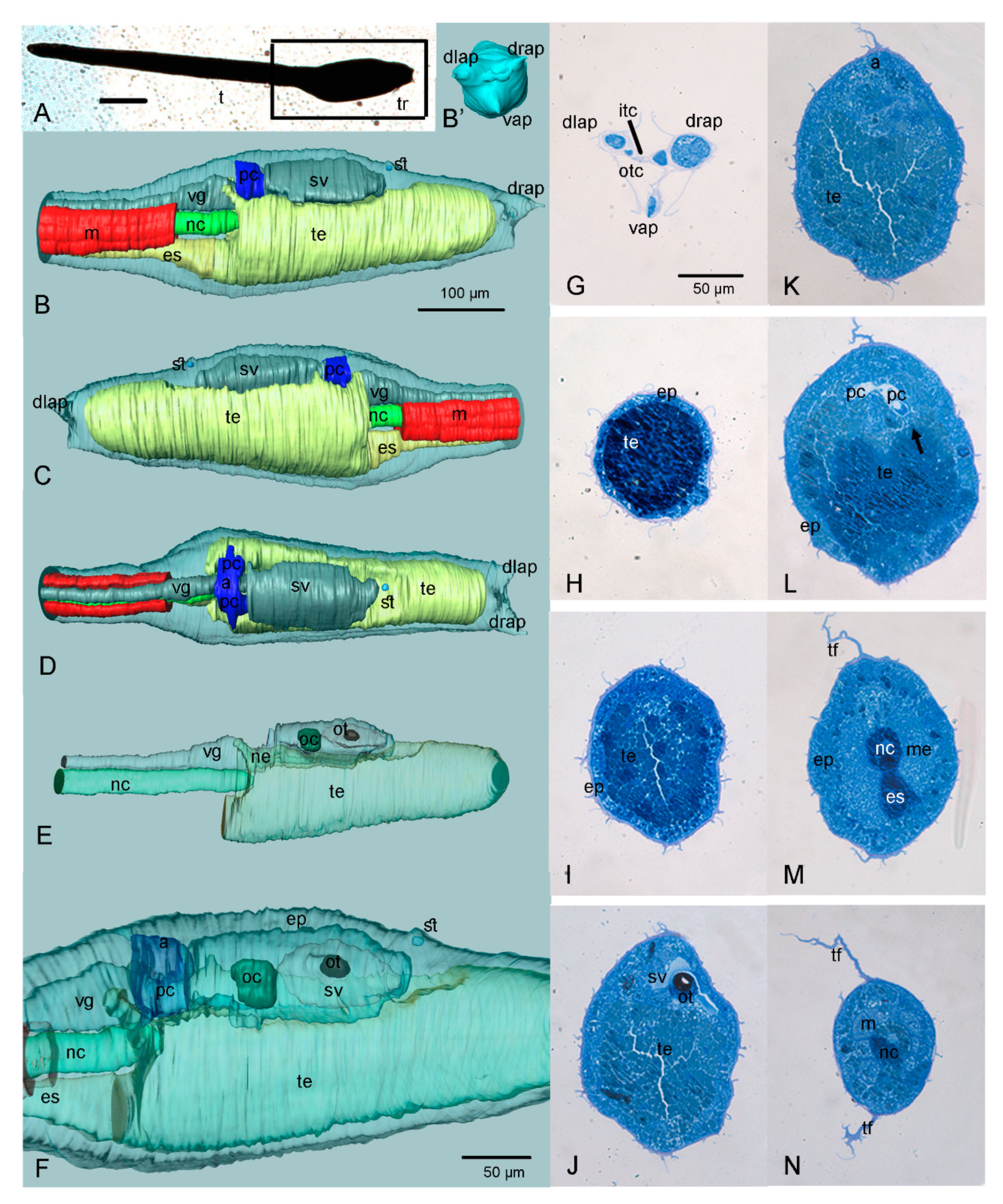Jmse 10 00011 g001 Jmse 10 00011 g001