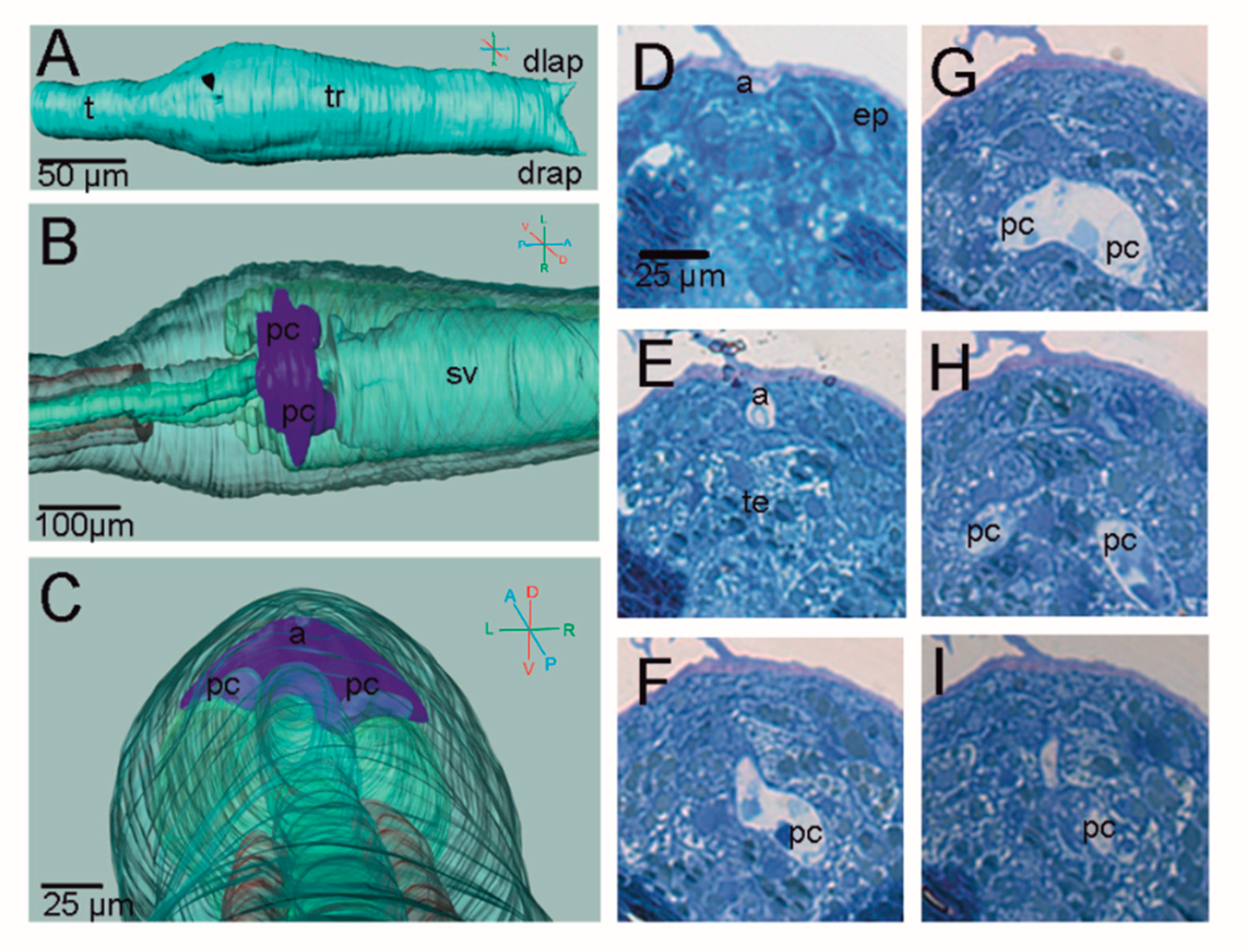 Jmse 10 00011 g002 Jmse 10 00011 g002