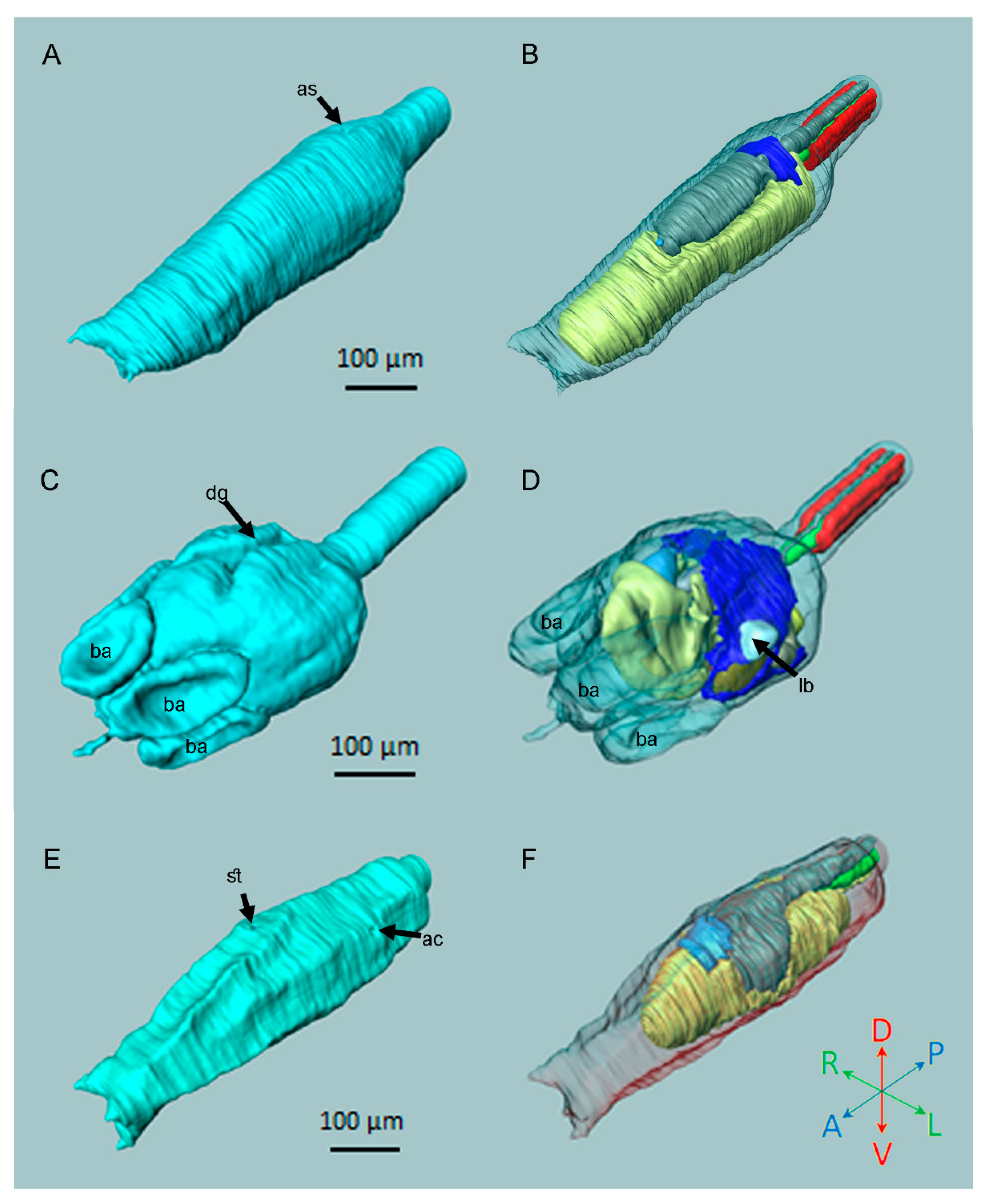Jmse 10 00011 g003 Jmse 10 00011 g003