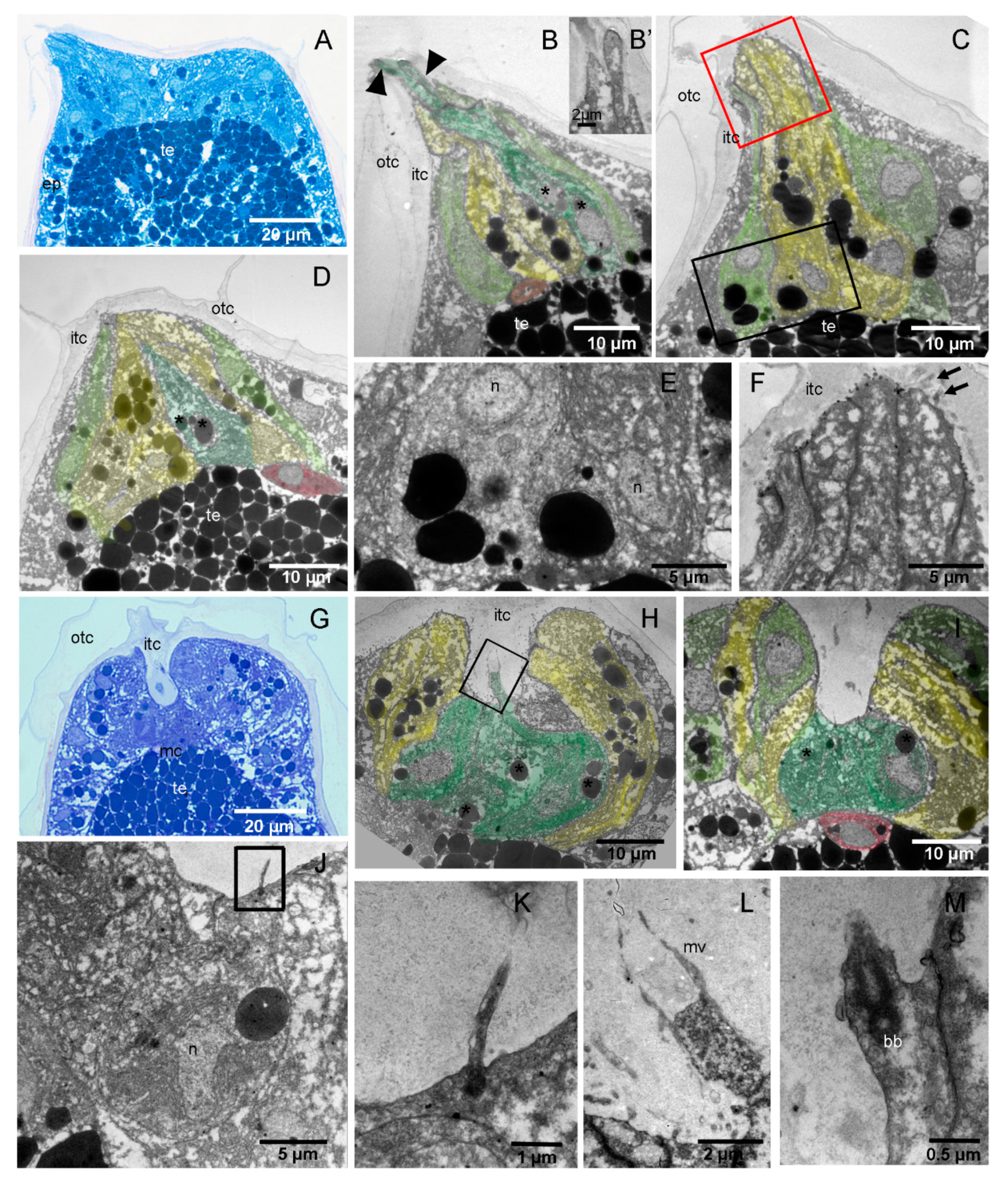 Jmse 10 00011 g004 Jmse 10 00011 g004