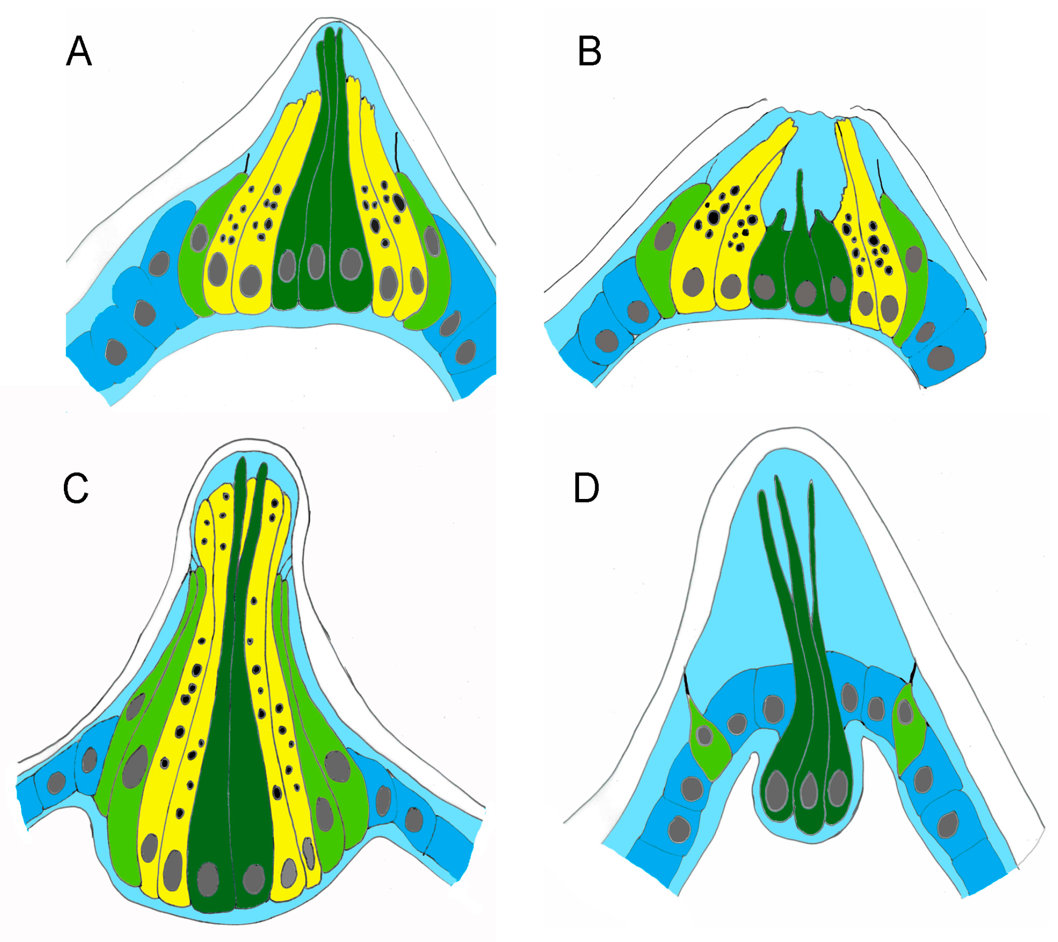Jmse 10 00011 g005 Jmse 10 00011 g005