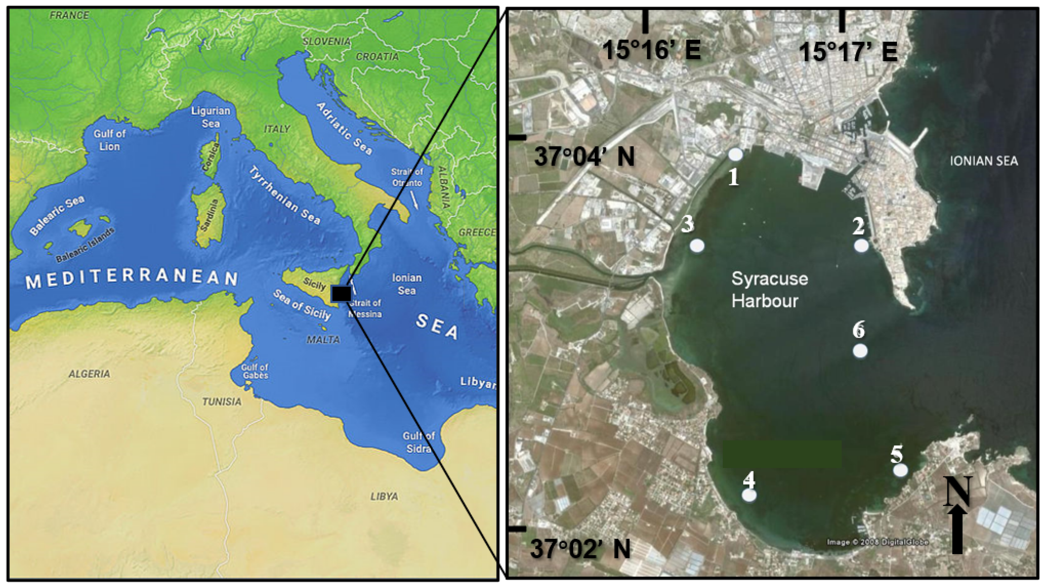 Jmse 10 00019 g001 Jmse 10 00019 g001