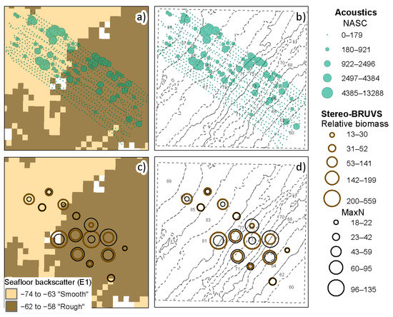 The Spatial Variation of Acoustic Water Column Data and Its ...