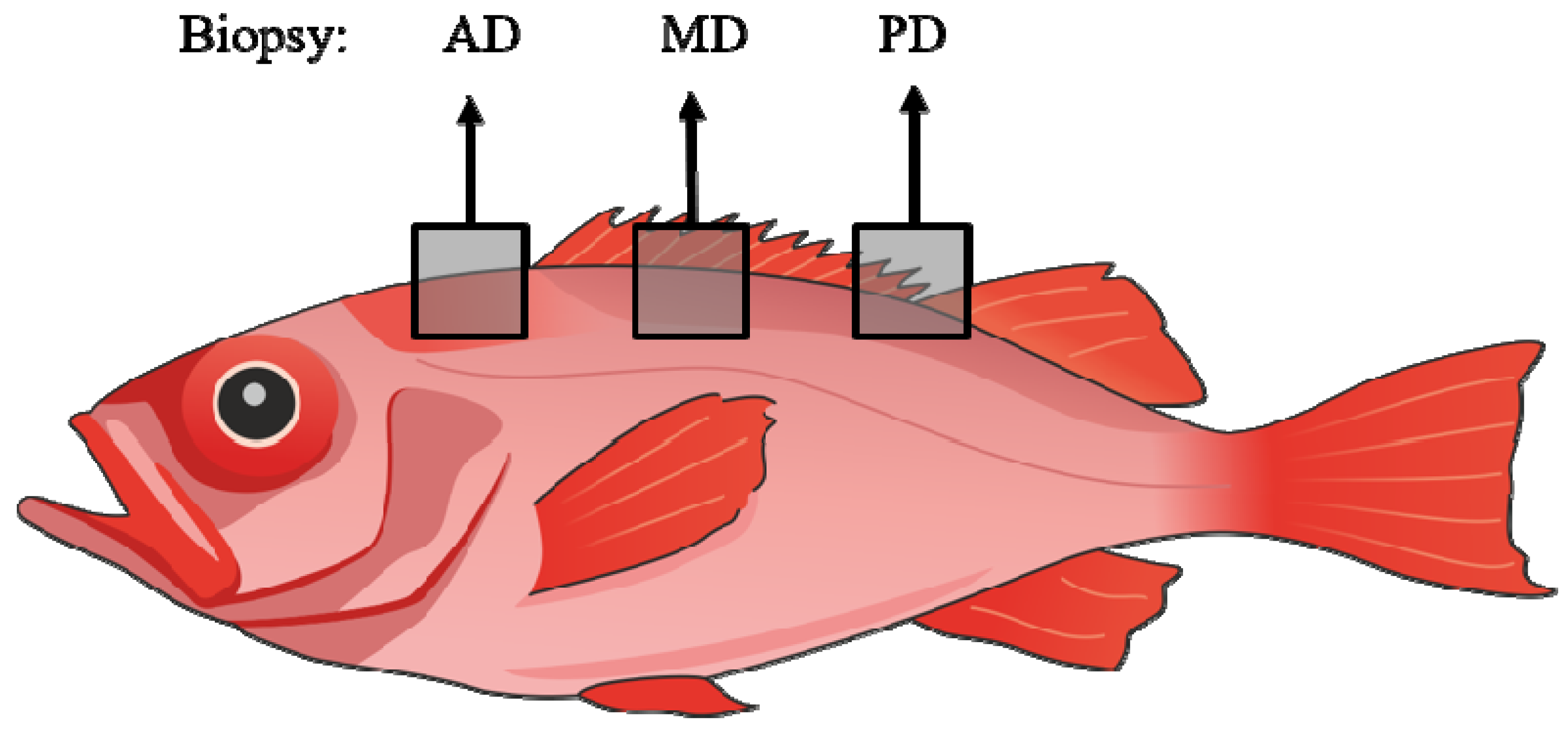 Jmse 10 00059 g001 550