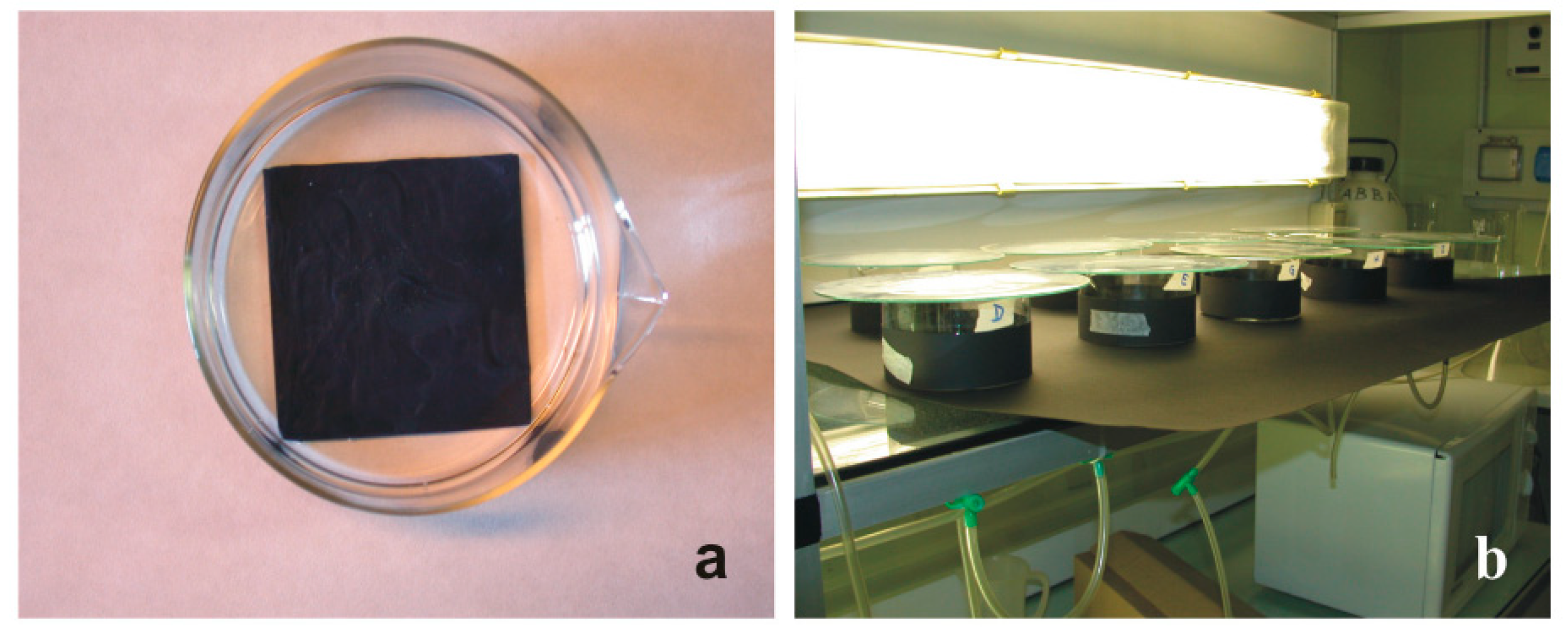 Jmse 10 00123 g001 550