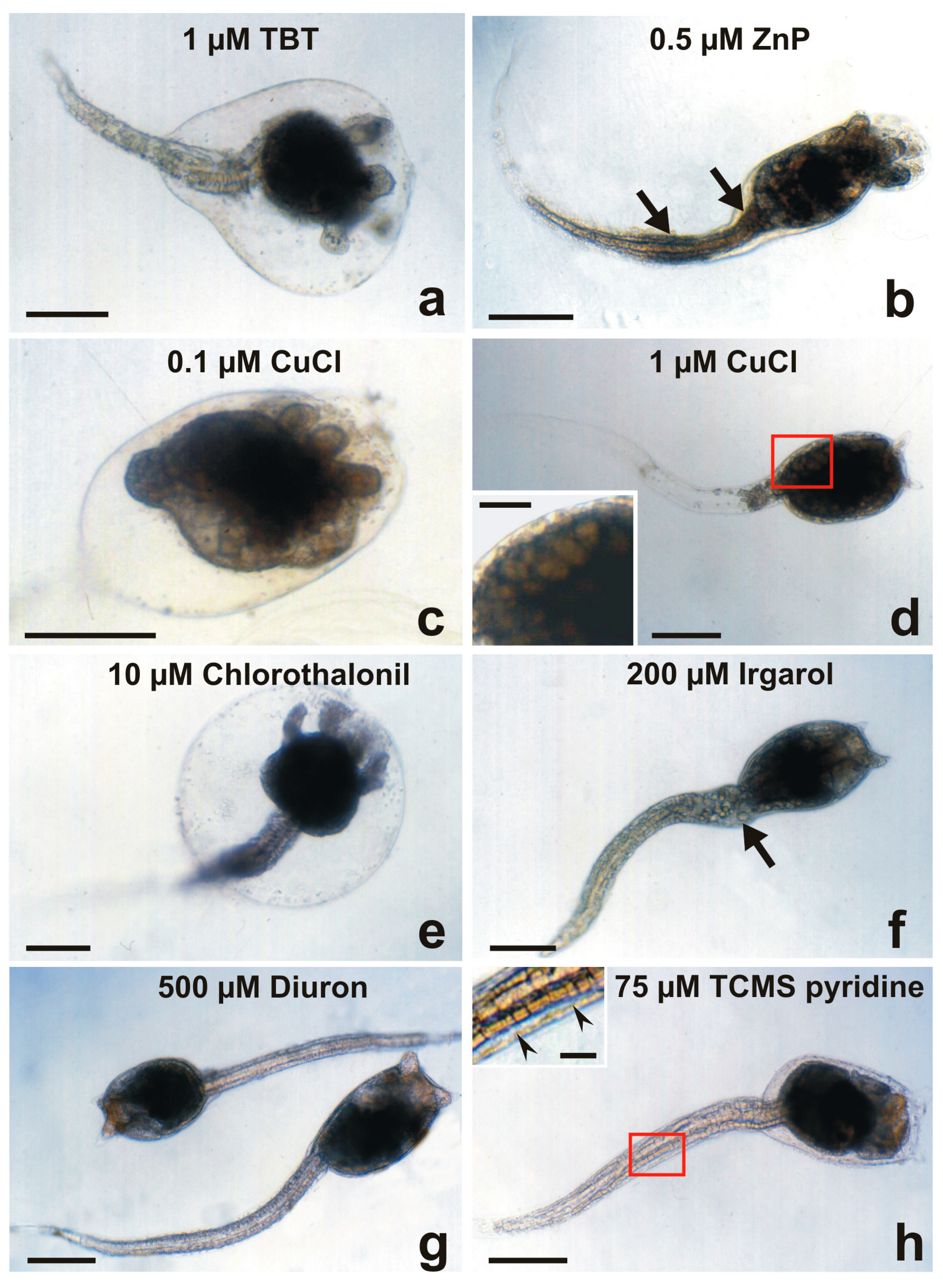 Jmse 10 00123 g004 550