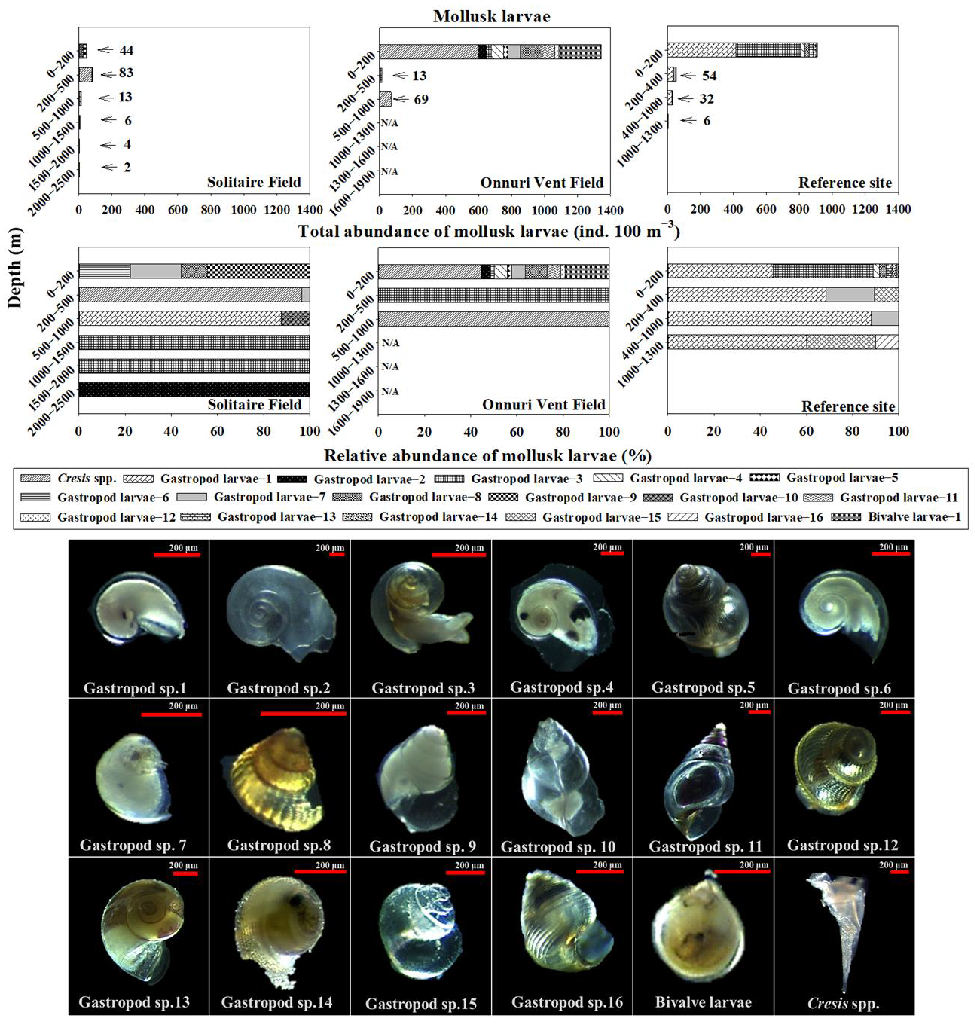 Jmse 10 00158 g005 Jmse 10 00158 g005