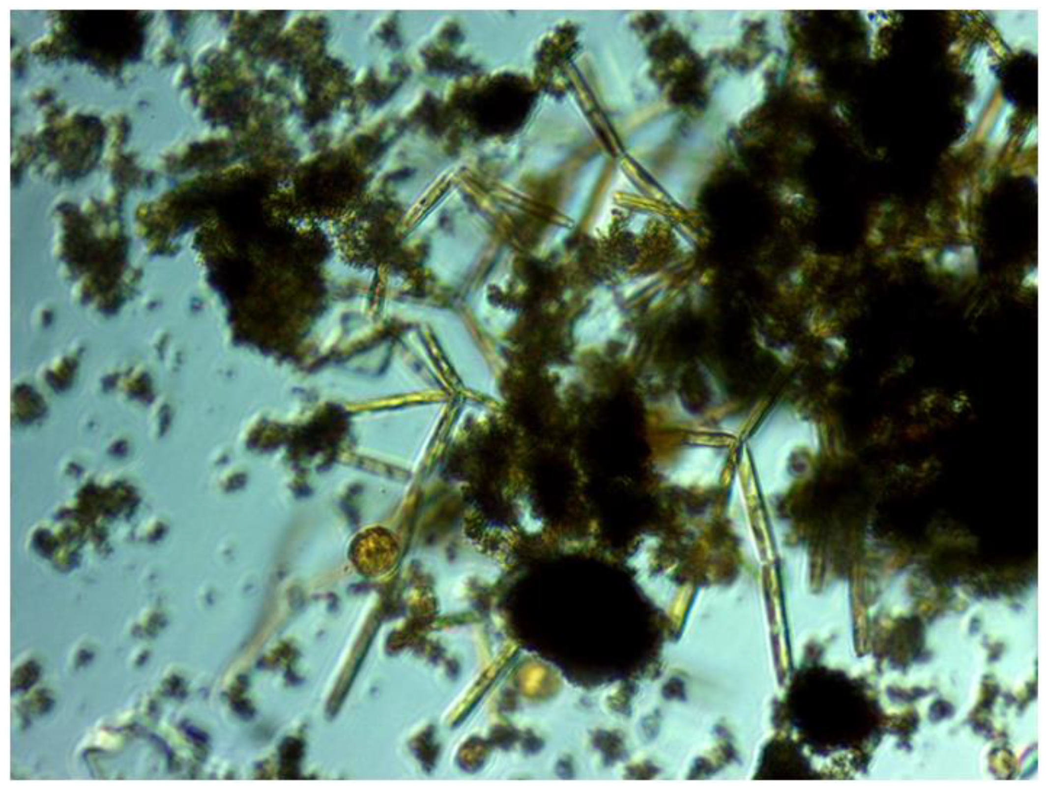 Jmse 10 00164 g008 Jmse 10 00164 g008