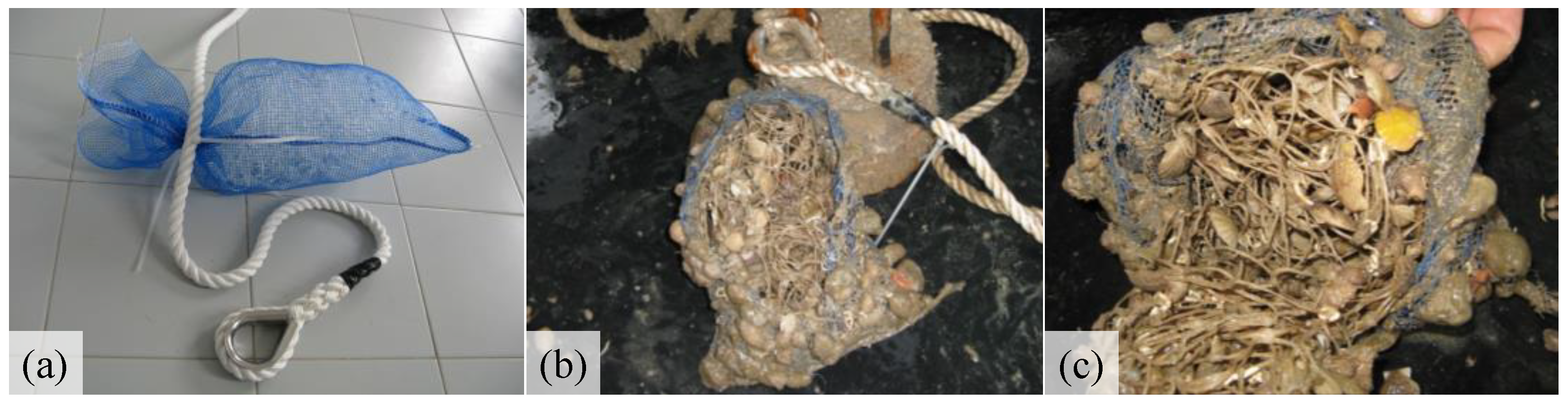 Jmse 10 00210 g002 Jmse 10 00210 g002