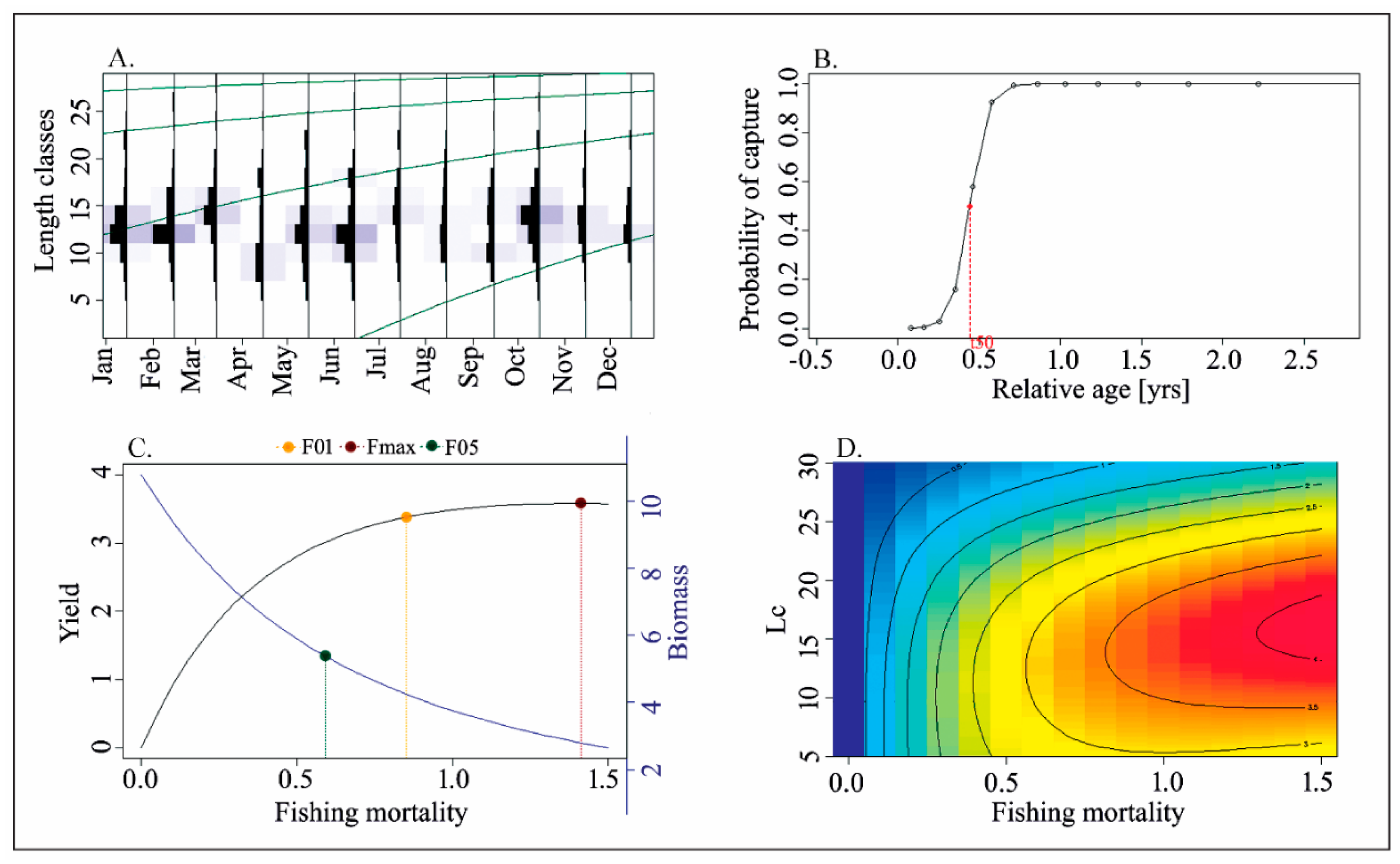 JMSE | Free Full-Text | Length-Based Stock Assessment for the Data-Poor Bombay Duck Fishery from the Northern Bay of Bengal Coast, Bangladesh JMSE | Free Full-Text | Length-Based Stock Assessment for the Data-Poor Bombay Duck Fishery from the Northern Bay of Bengal Coast, Bangladesh