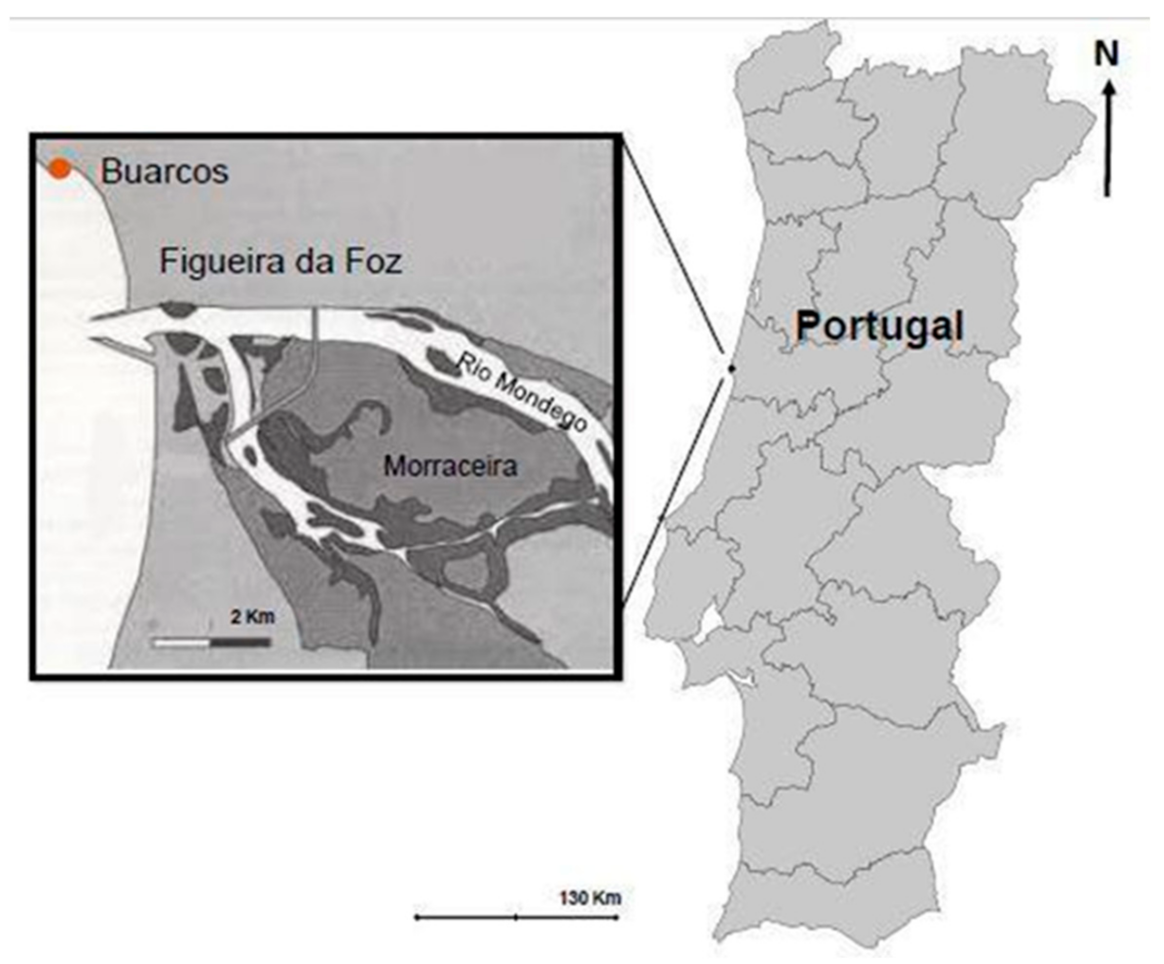 Jmse 10 00233 g002 550