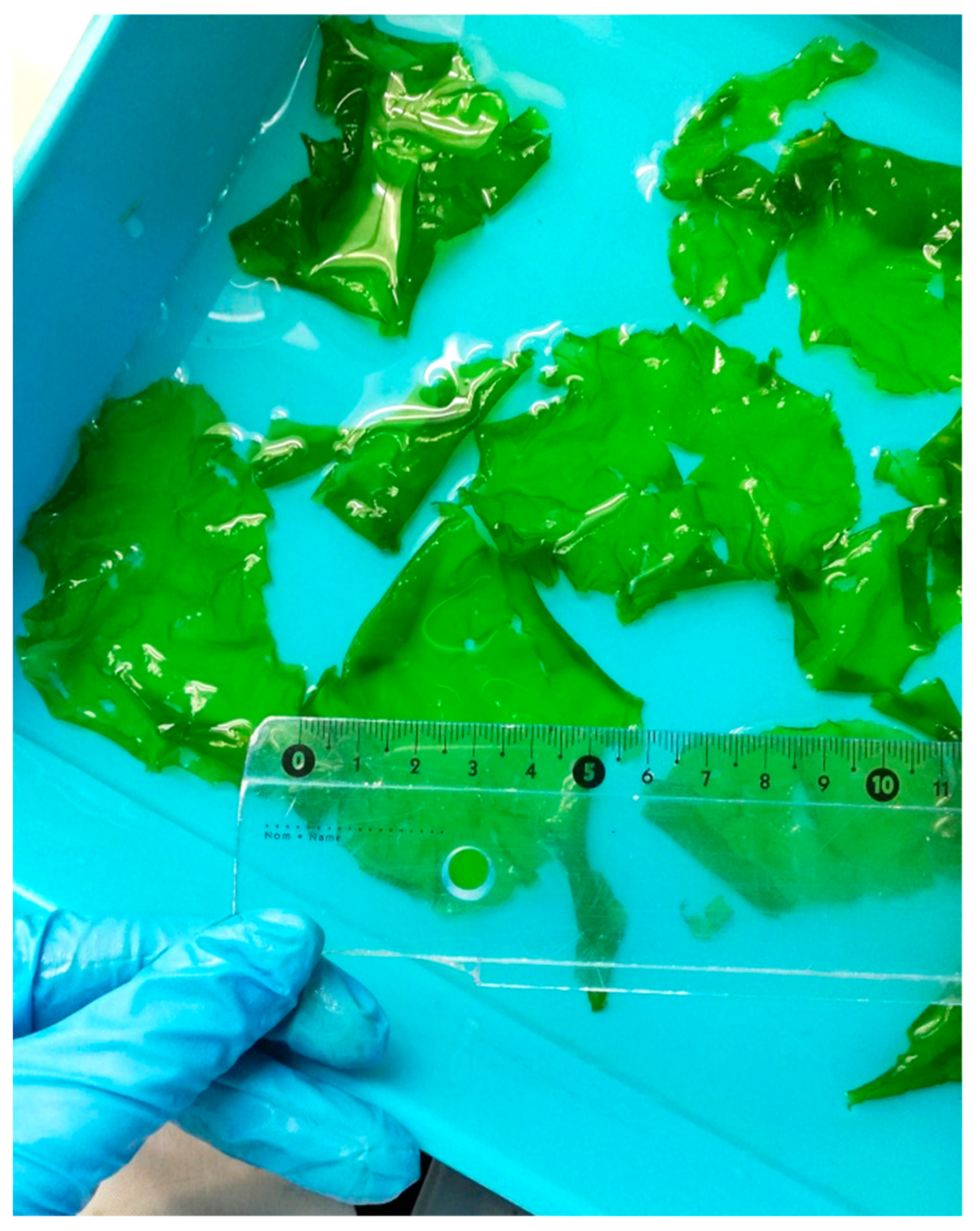 Jmse 10 00233 g003 550