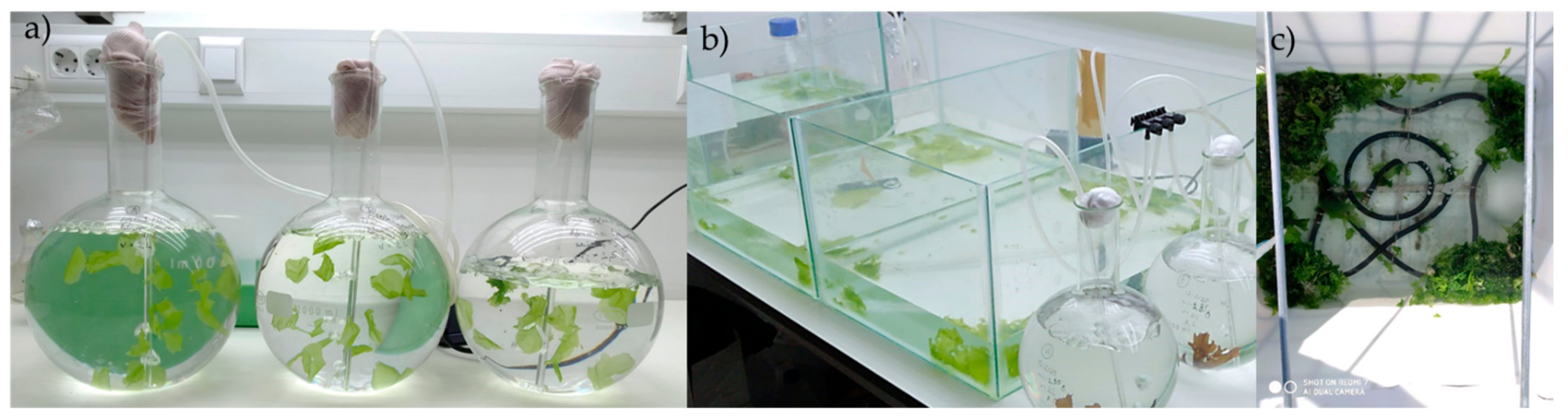 Jmse 10 00233 g004 550