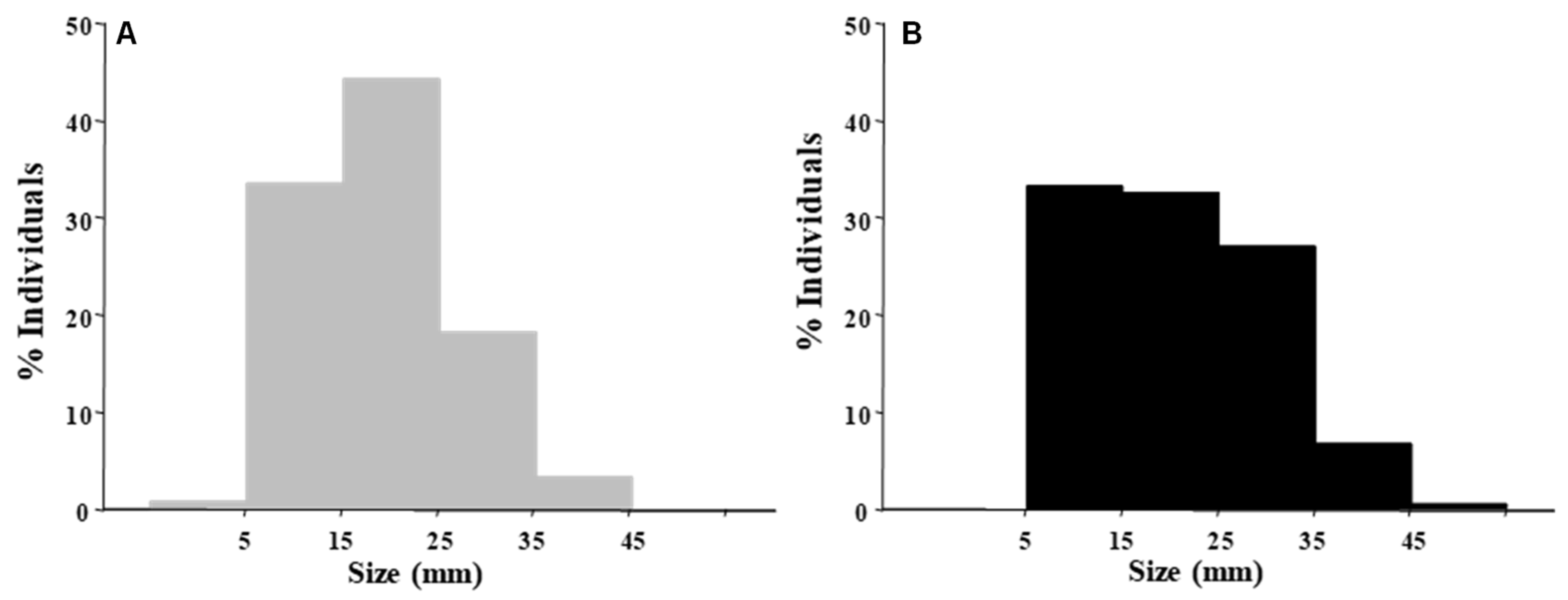 Jmse 10 00242 g002 Jmse 10 00242 g002