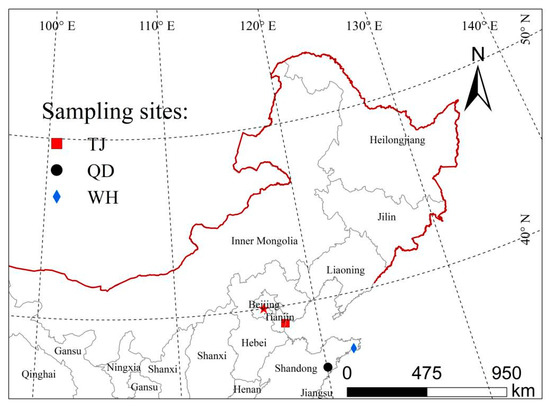 Effect of Bound Water Content on Secondary Compression of Three