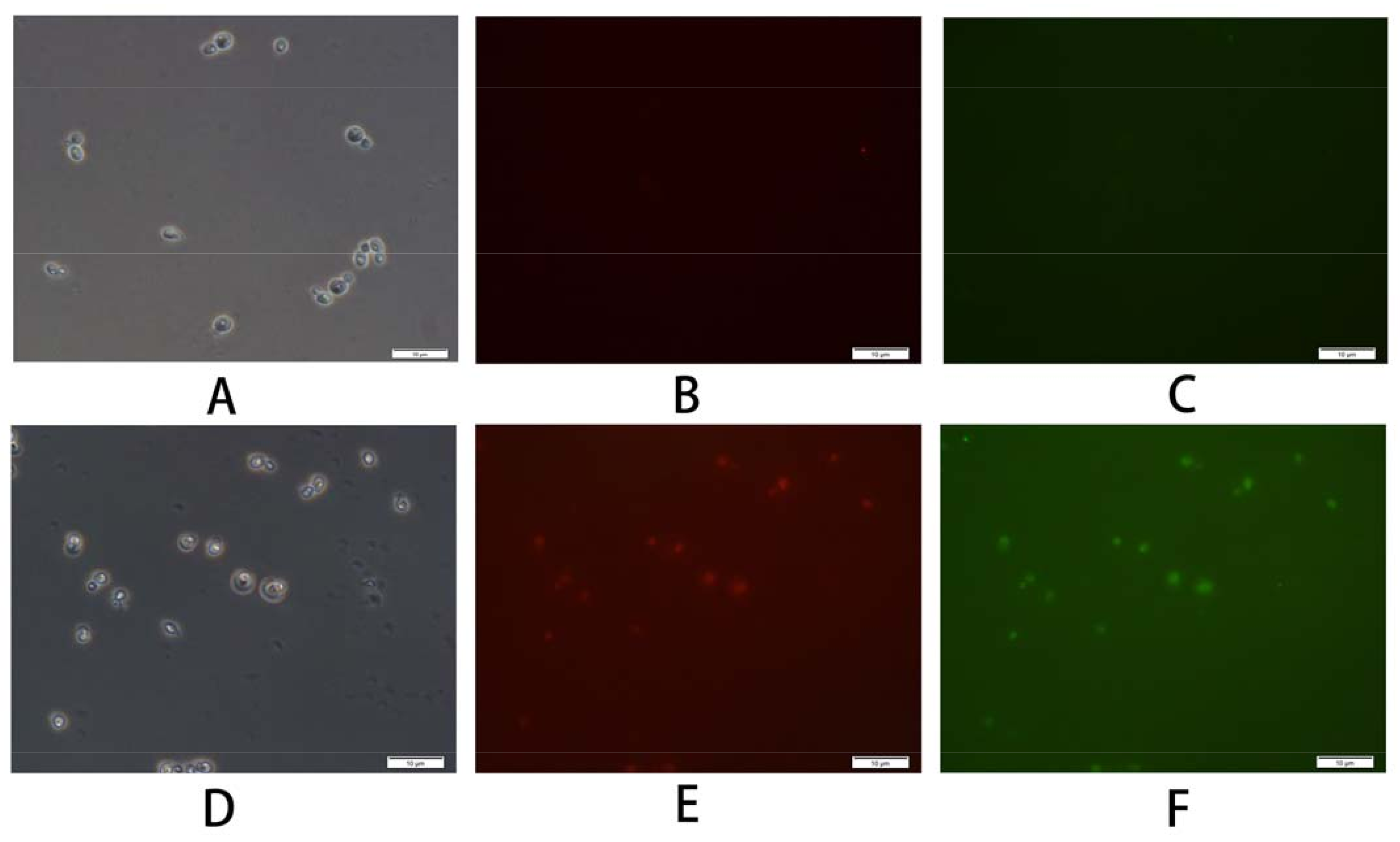 Jmse 10 00339 g006 550