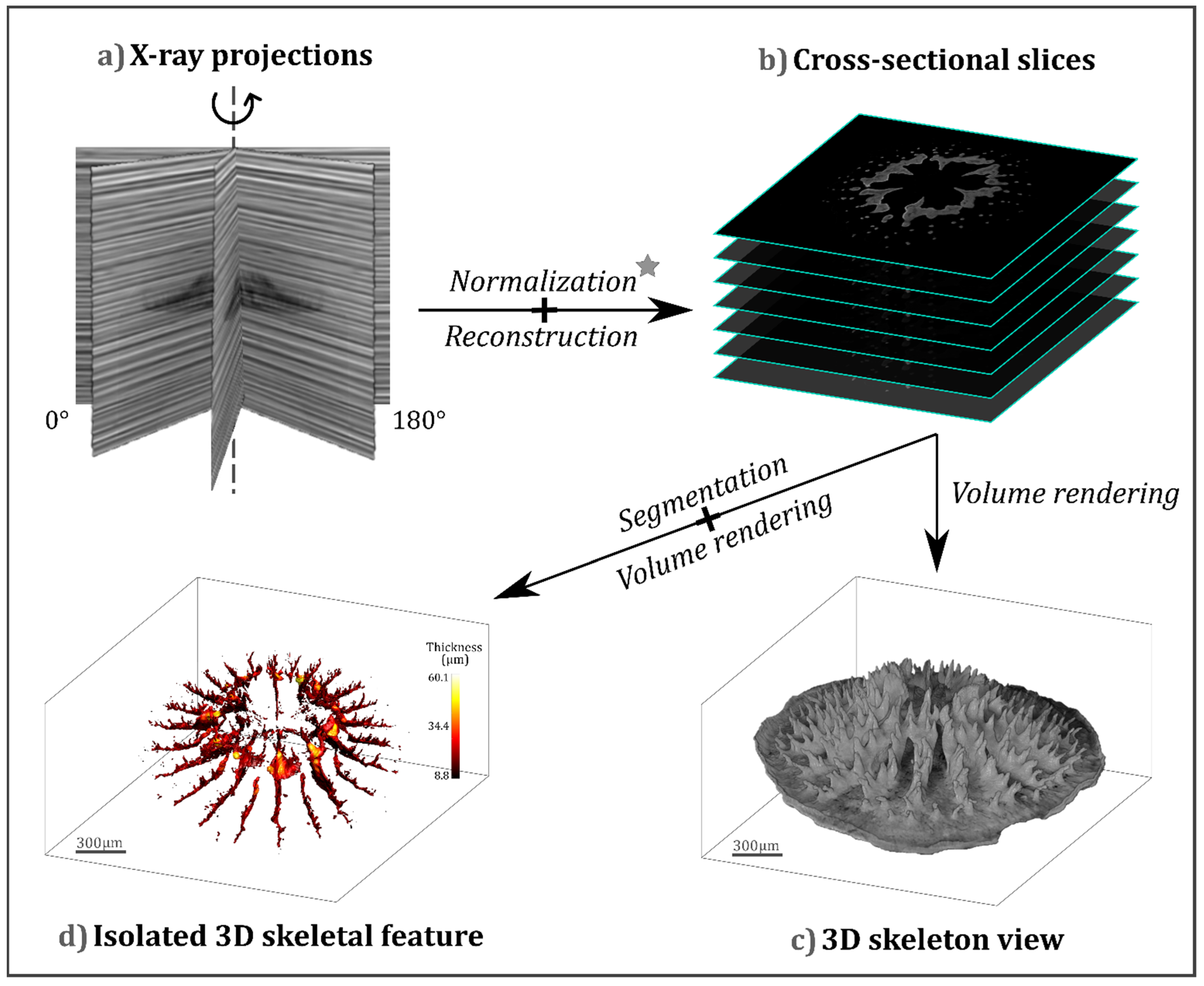 Jmse 10 00391 g001 550