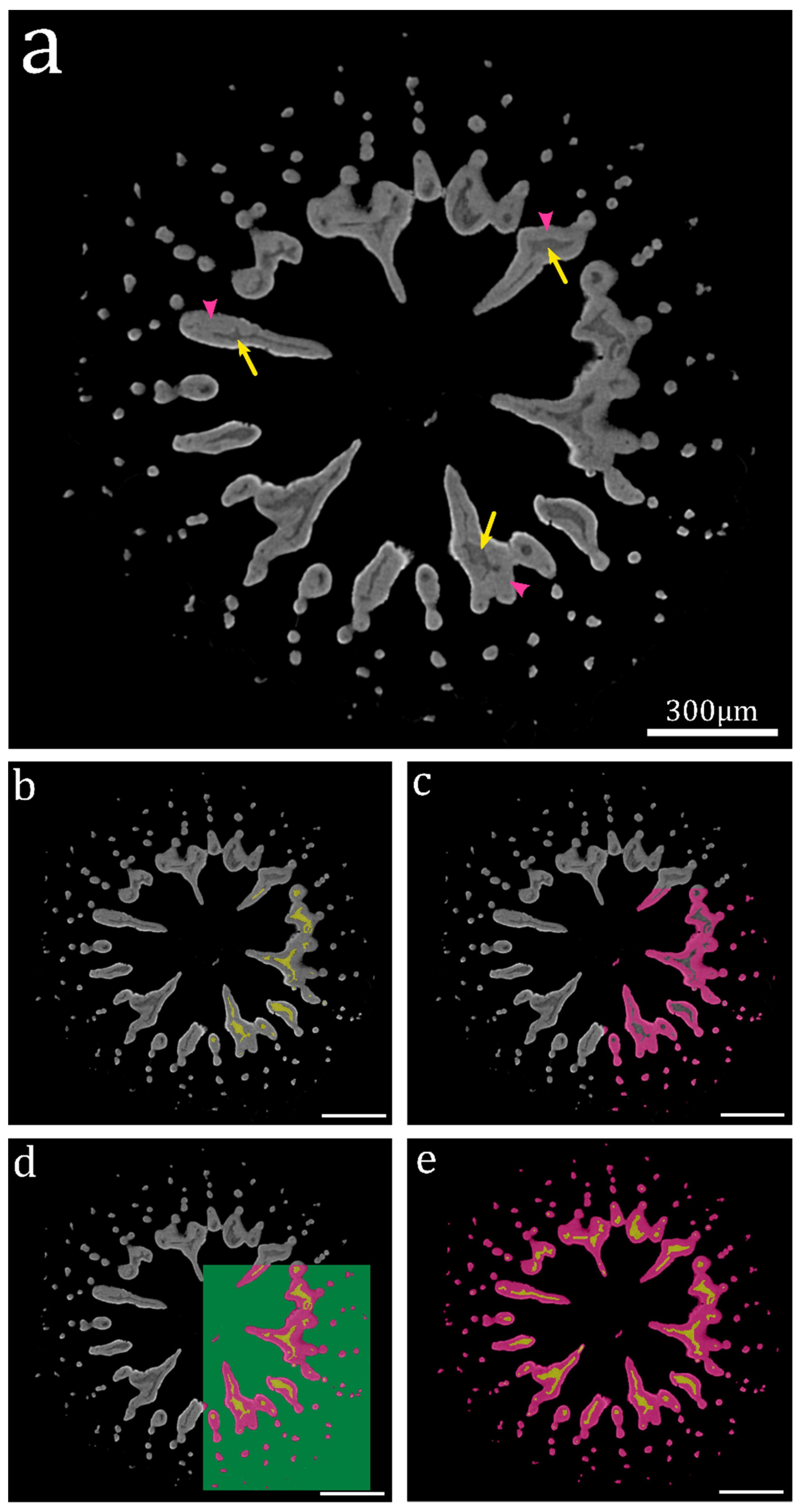 Jmse 10 00391 g003 550