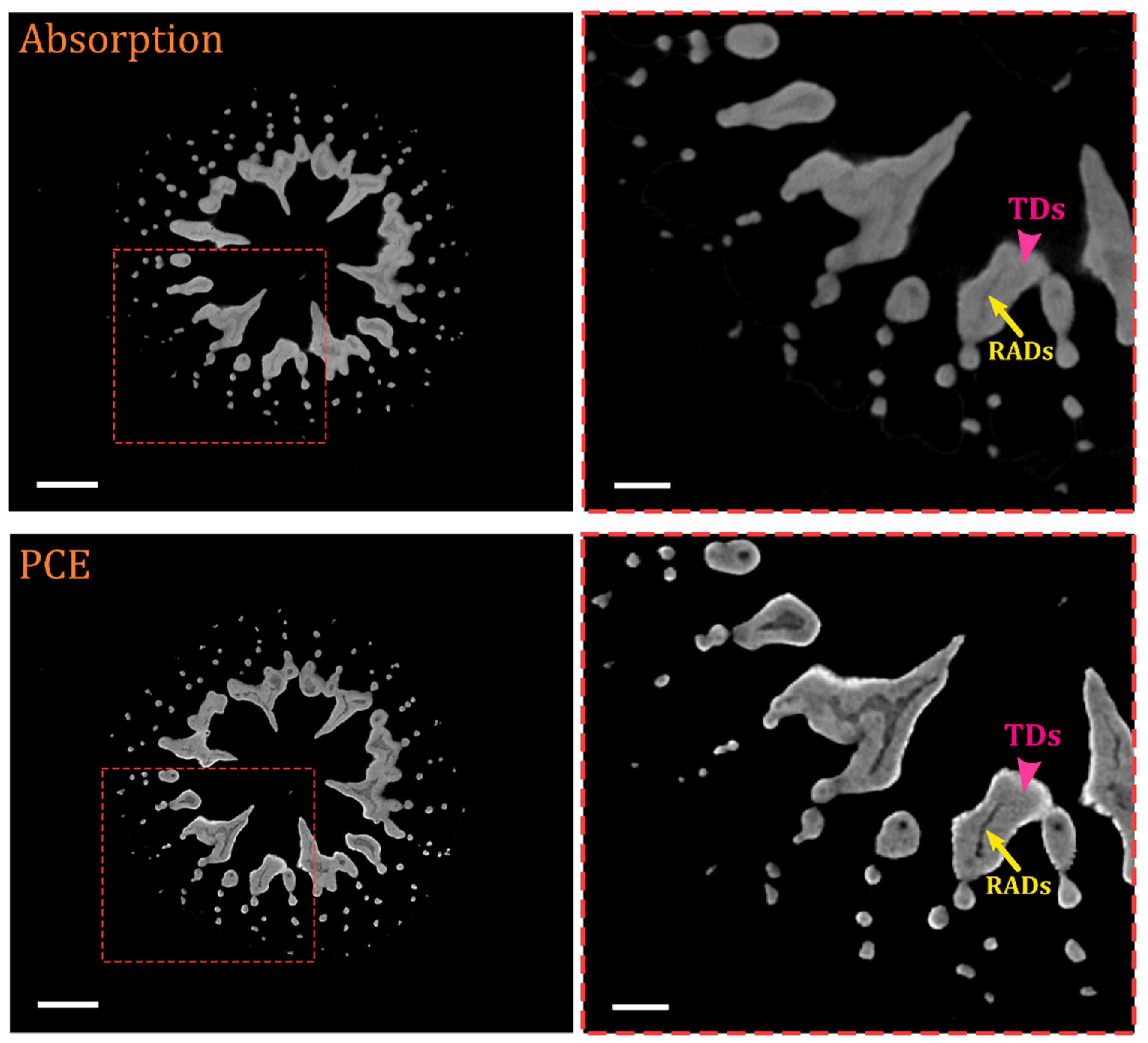 Jmse 10 00391 g004 550