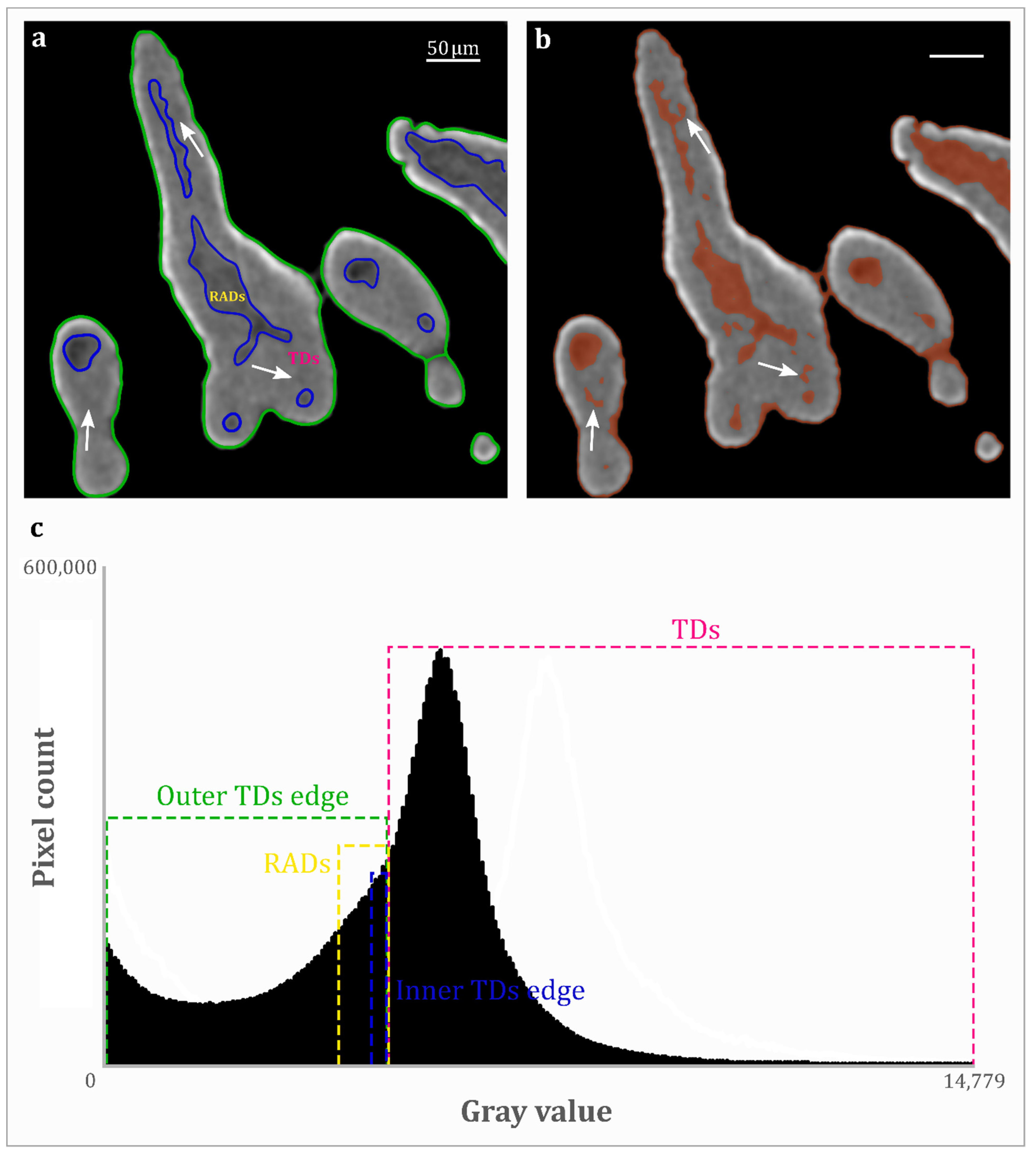 Jmse 10 00391 g005 550