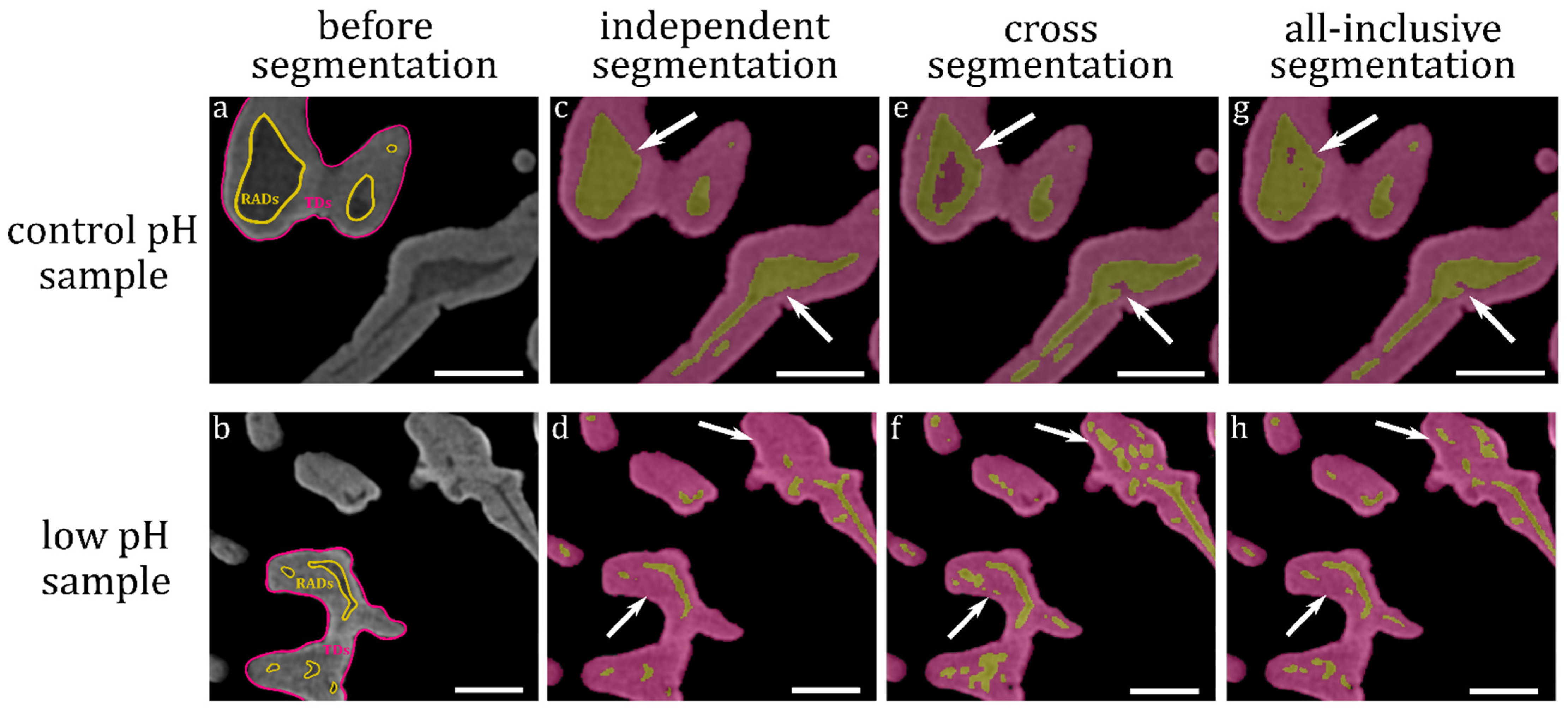 Jmse 10 00391 g007 550