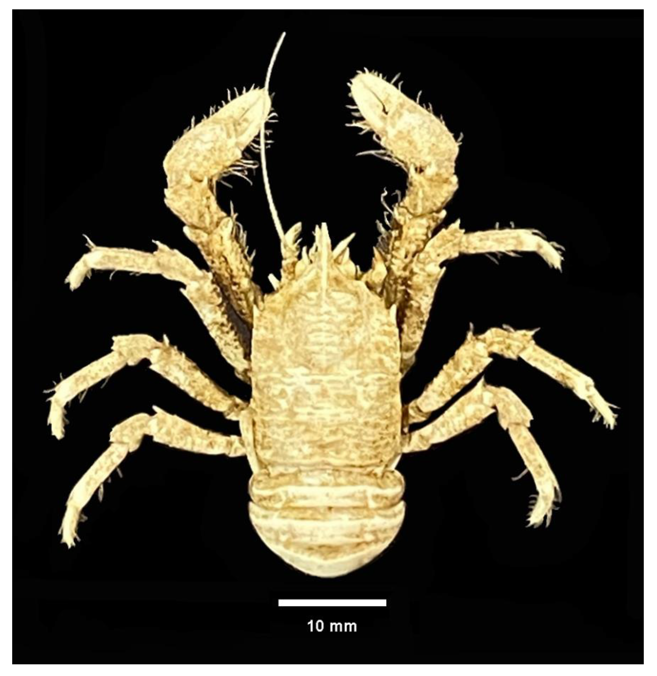 Jmse 10 00400 g001 Jmse 10 00400 g001