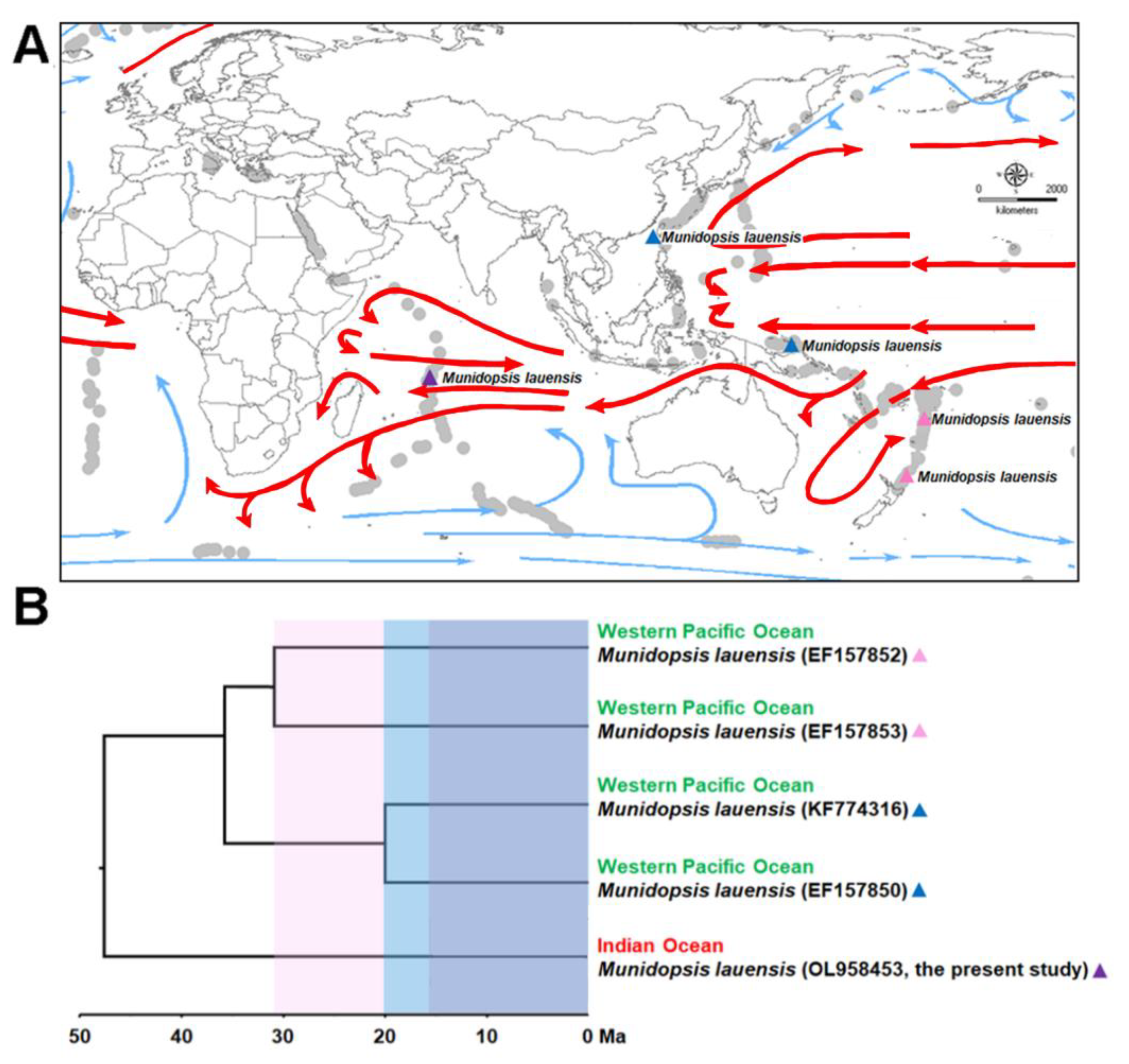 Jmse 10 00400 g002 Jmse 10 00400 g002