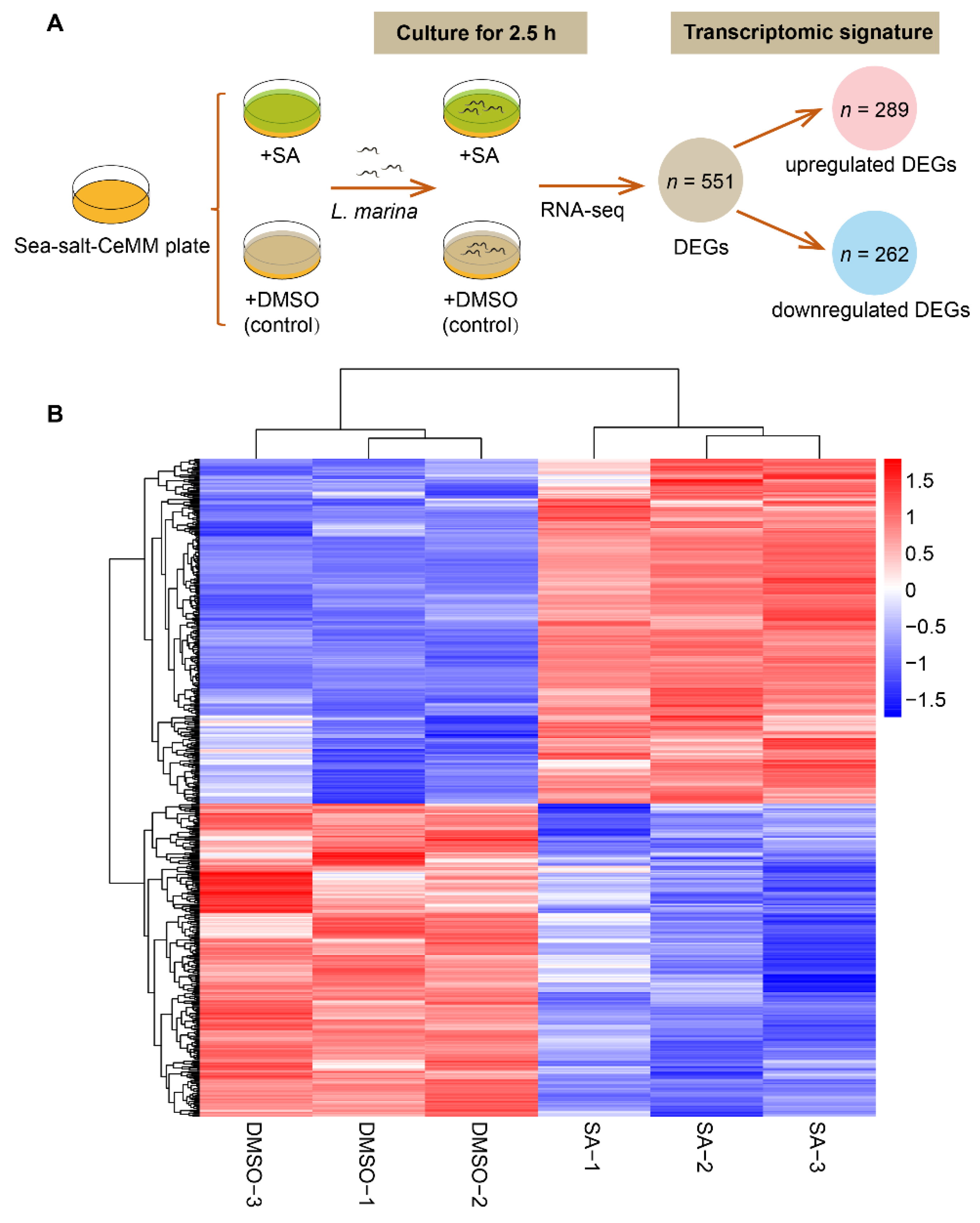 Jmse 10 00428 g002 Jmse 10 00428 g002