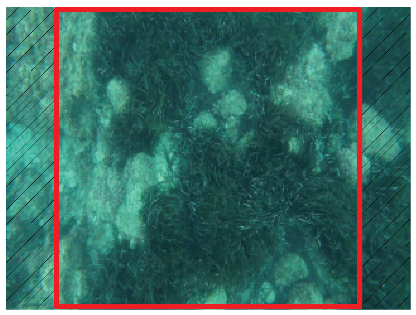 Jmse 10 00511 g004 550