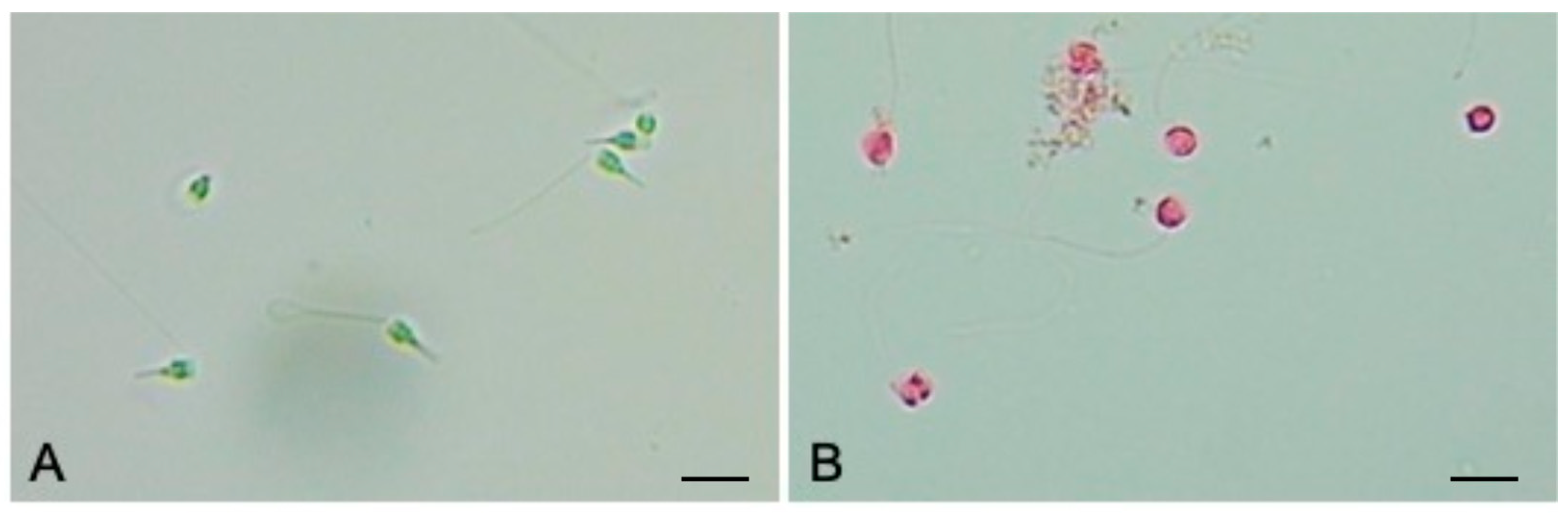 Jmse 10 00521 g004