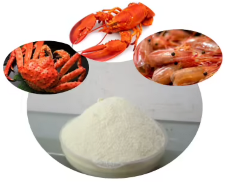 Jmse 10 00534 g001 550