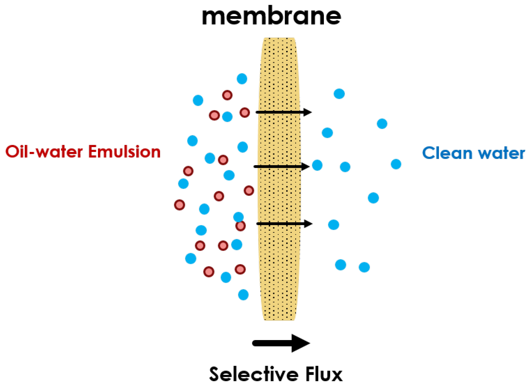 Jmse 10 00534 g009 550