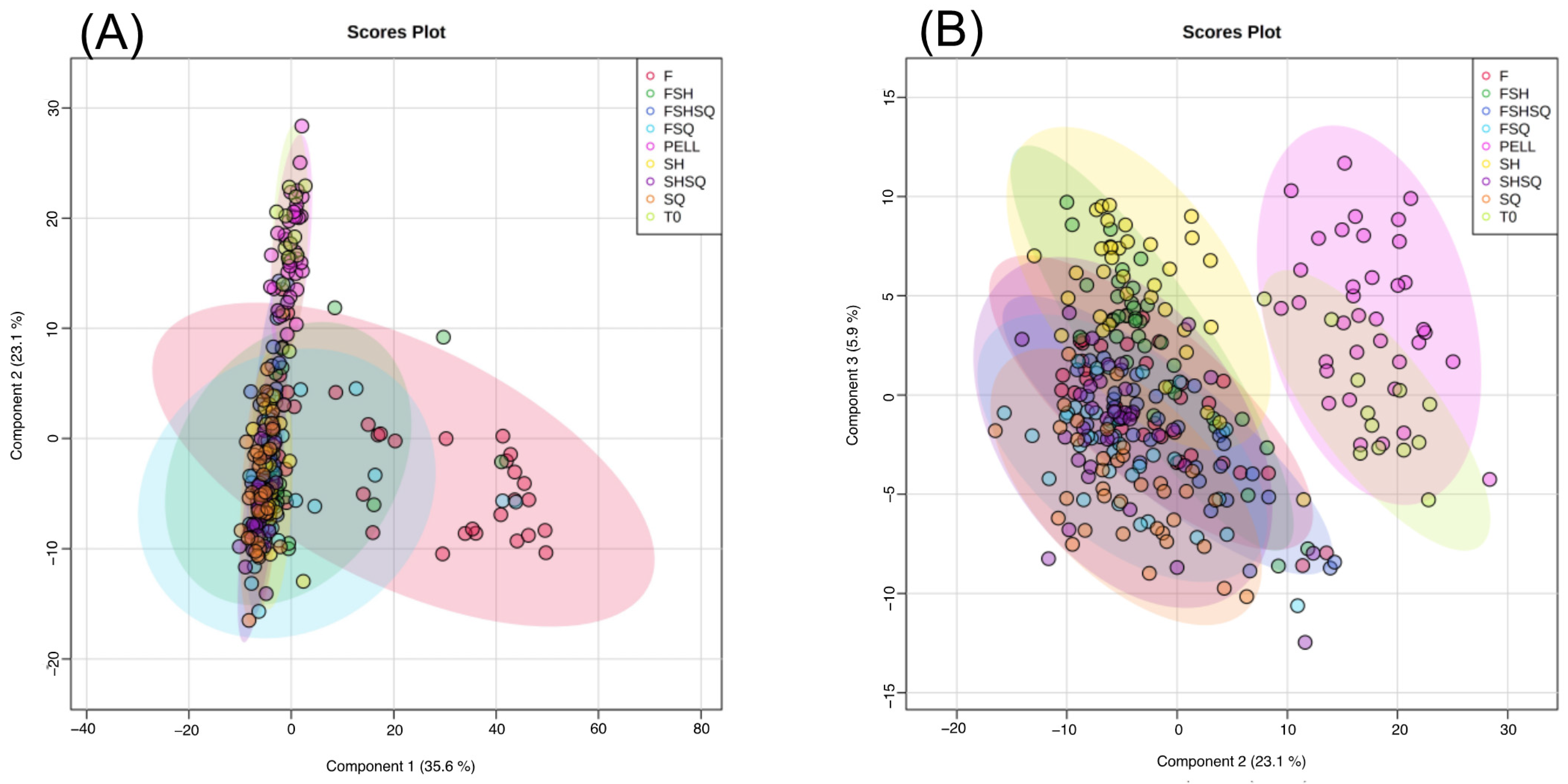 Jmse 10 00547 g002 Jmse 10 00547 g002