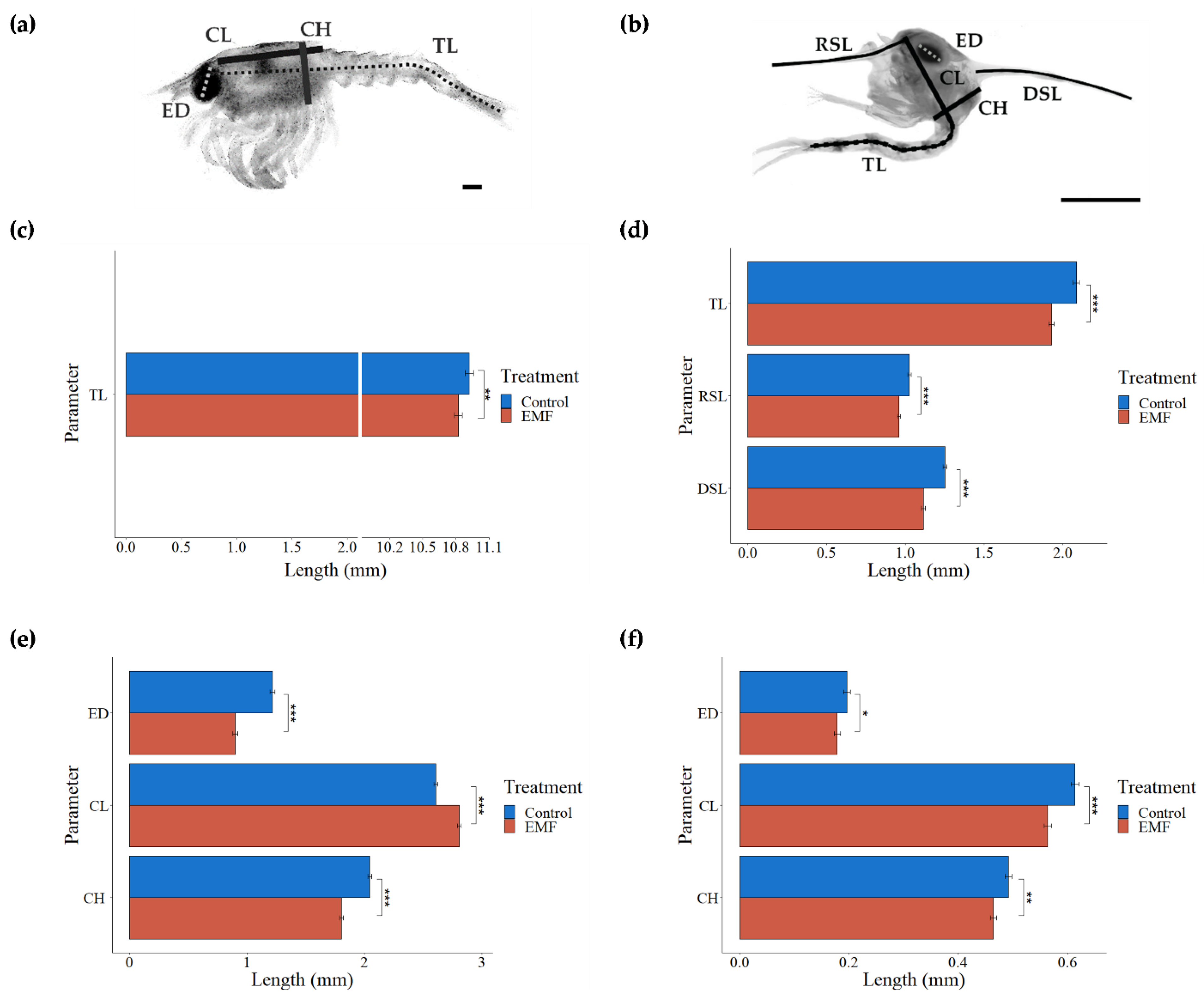 Jmse 10 00564 g006 Jmse 10 00564 g006