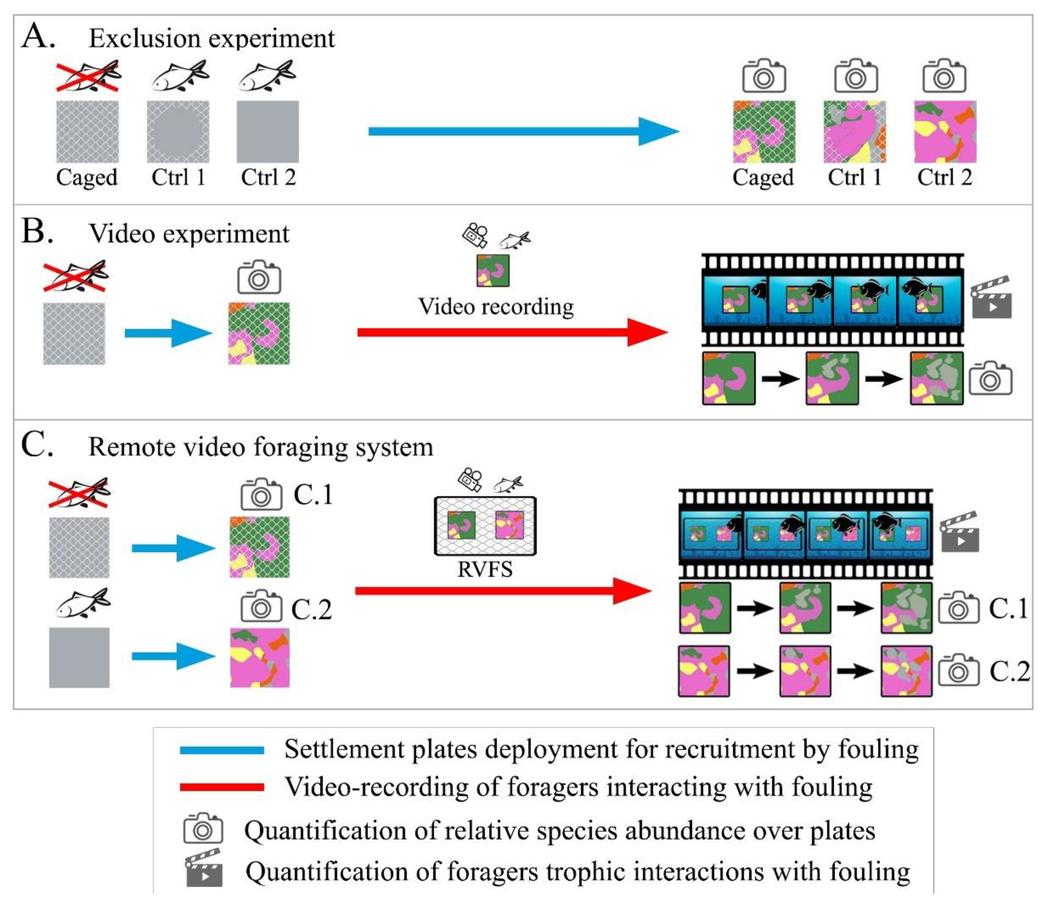 Jmse 10 00611 g001 550