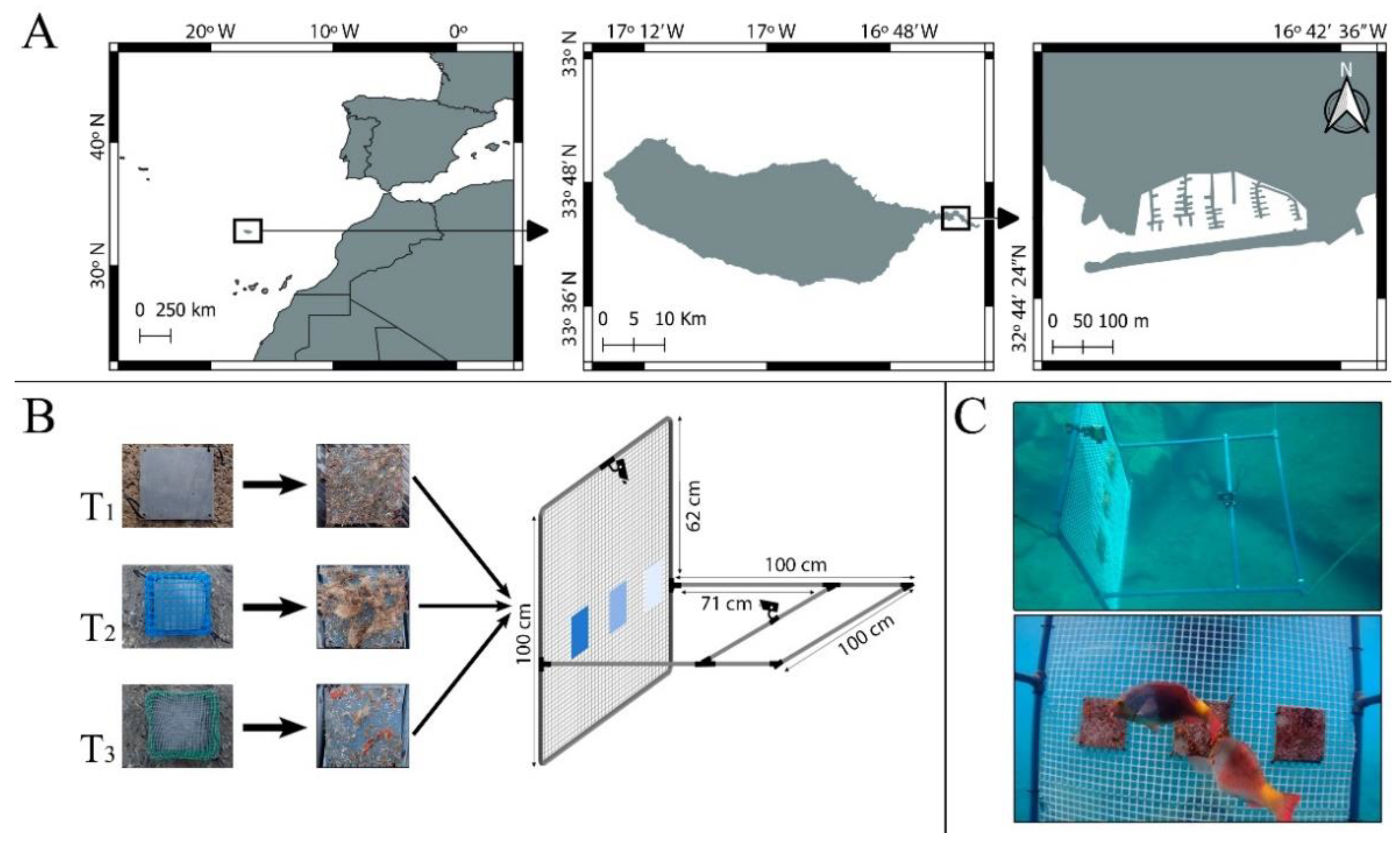 Jmse 10 00611 g002 550