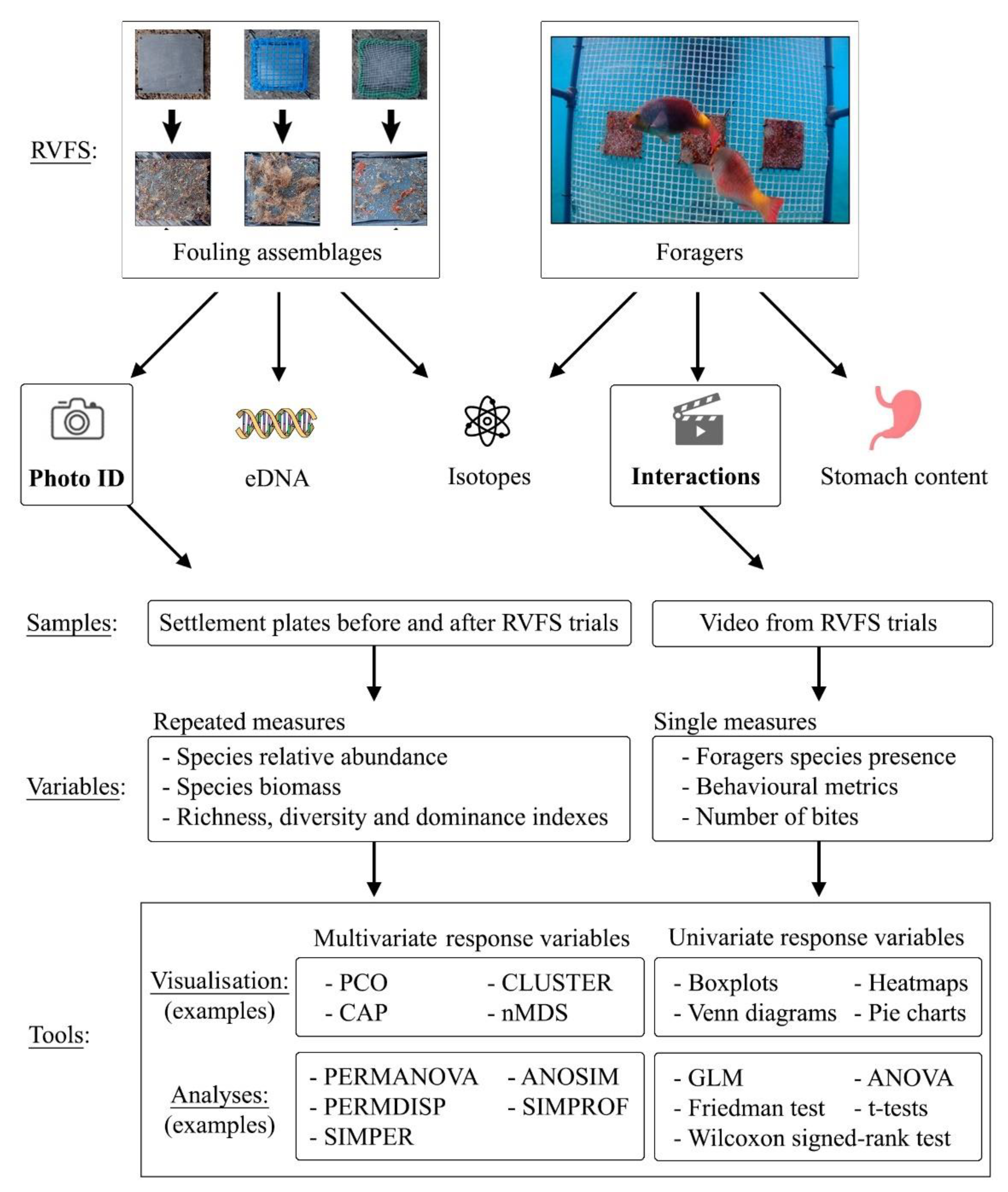 Jmse 10 00611 g005 550