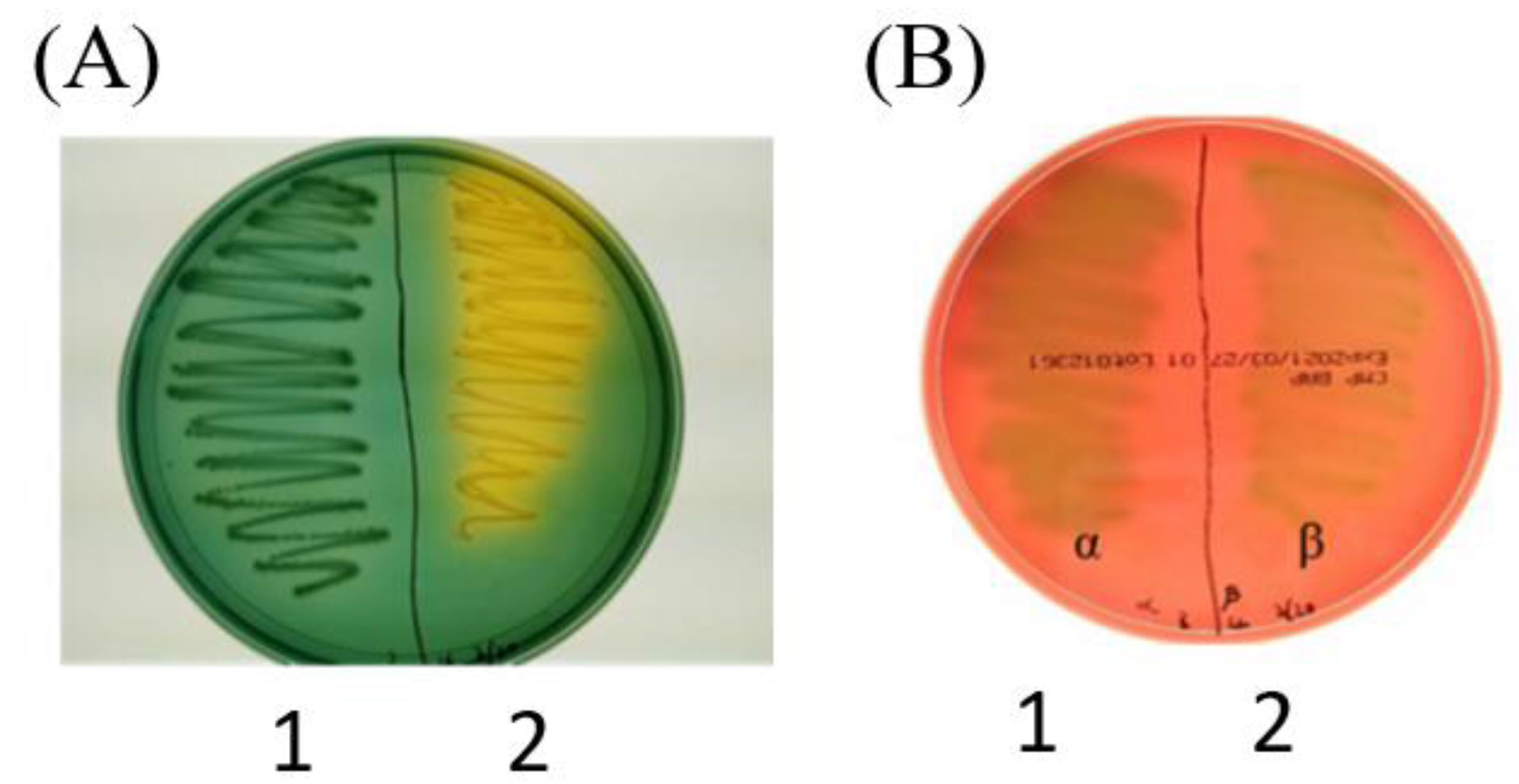 Jmse 10 00625 g002 Jmse 10 00625 g002