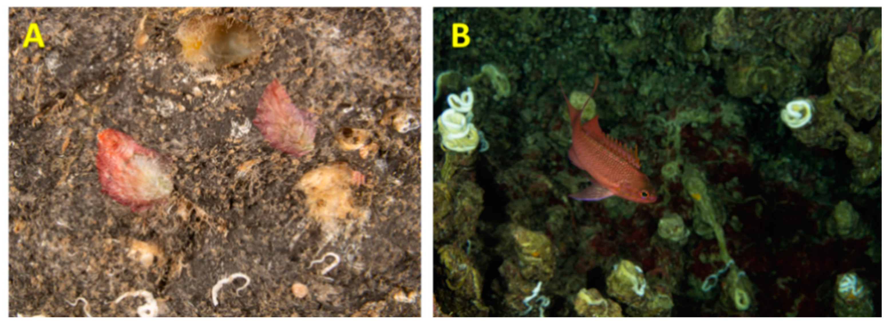 Jmse 10 00660 g003 550