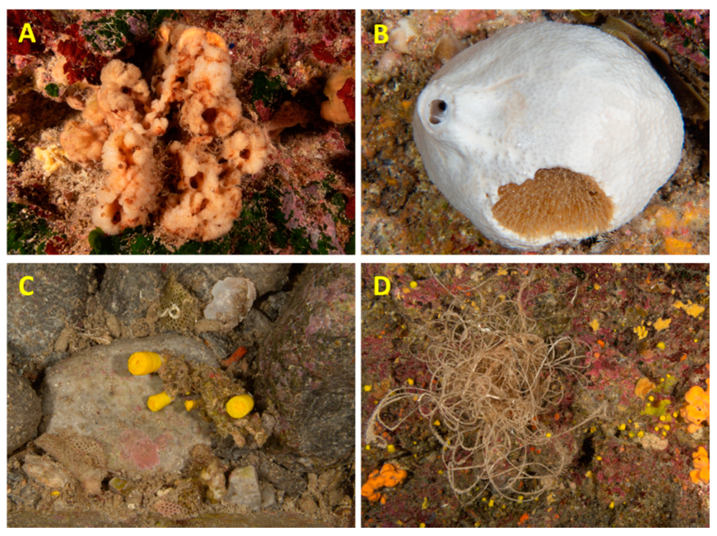 Jmse 10 00660 g005 550