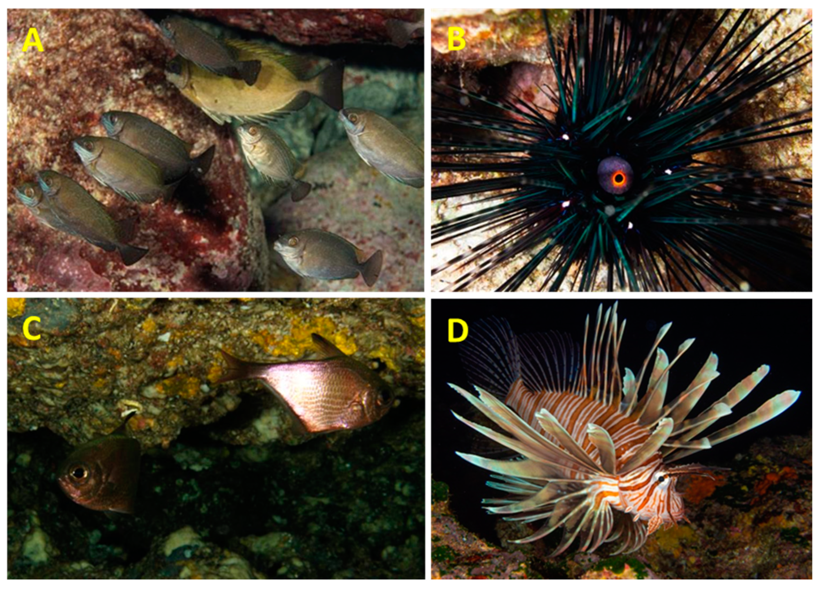 Jmse 10 00660 g006 550