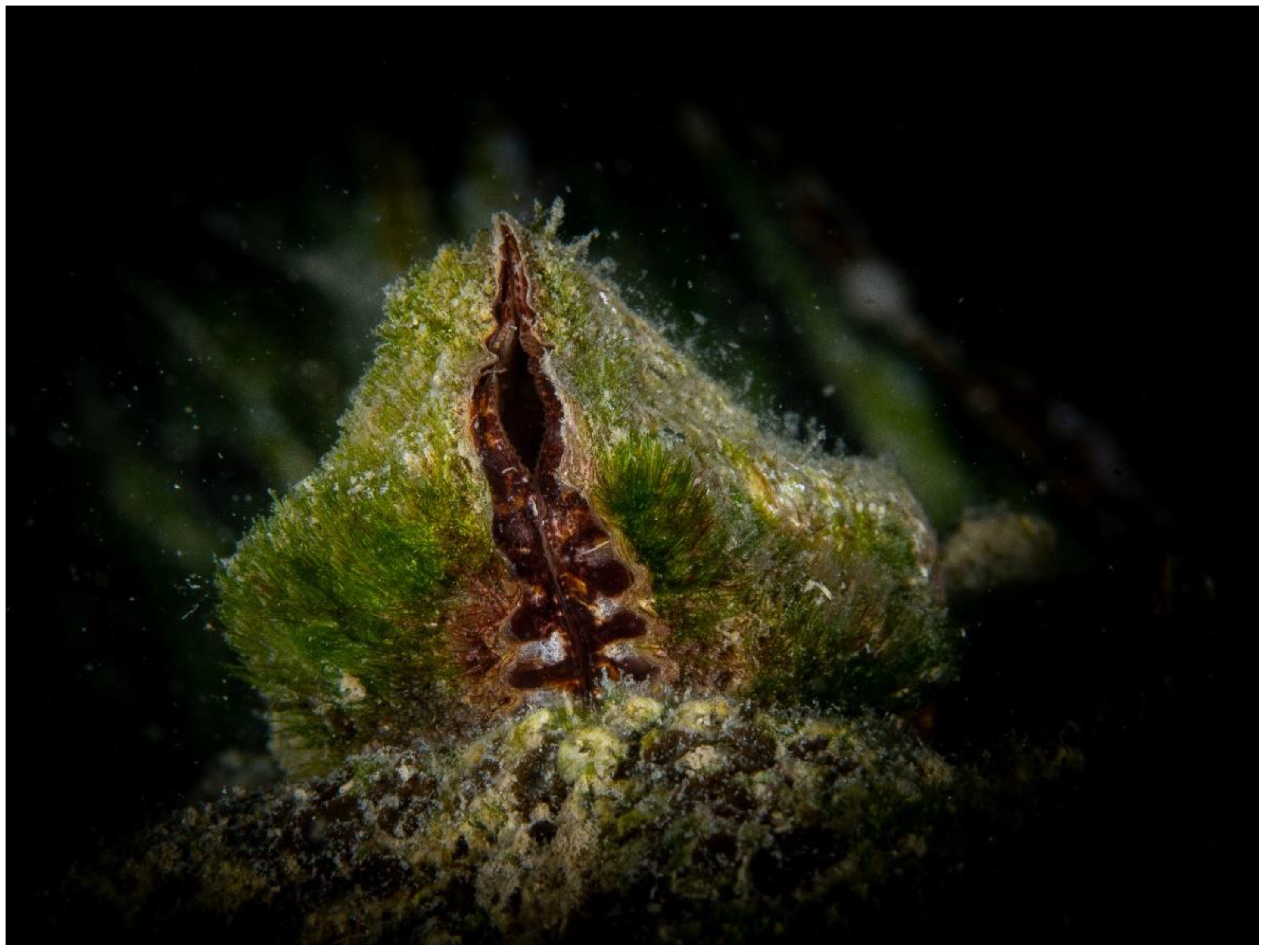 Jmse 10 00673 g001 550