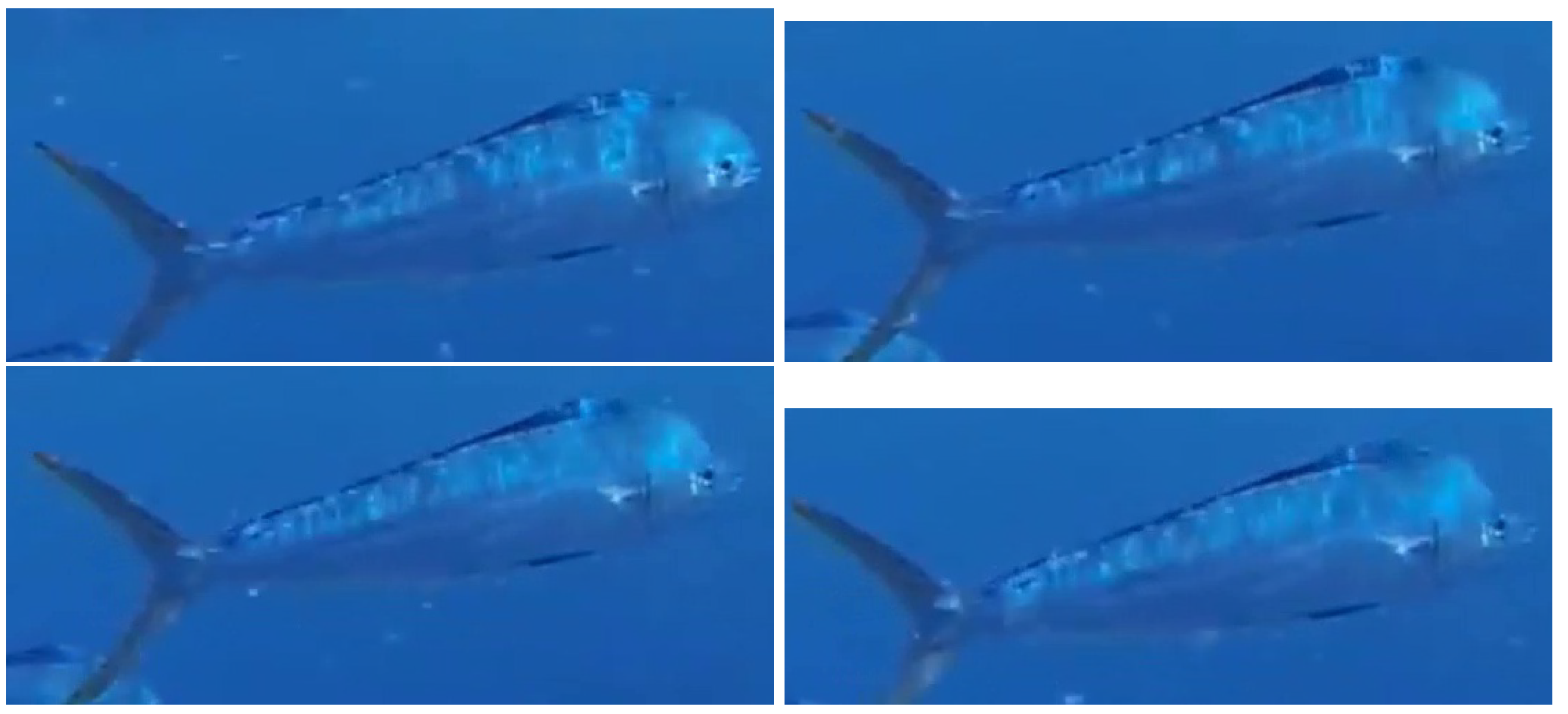 Jmse 10 00736 g003 550