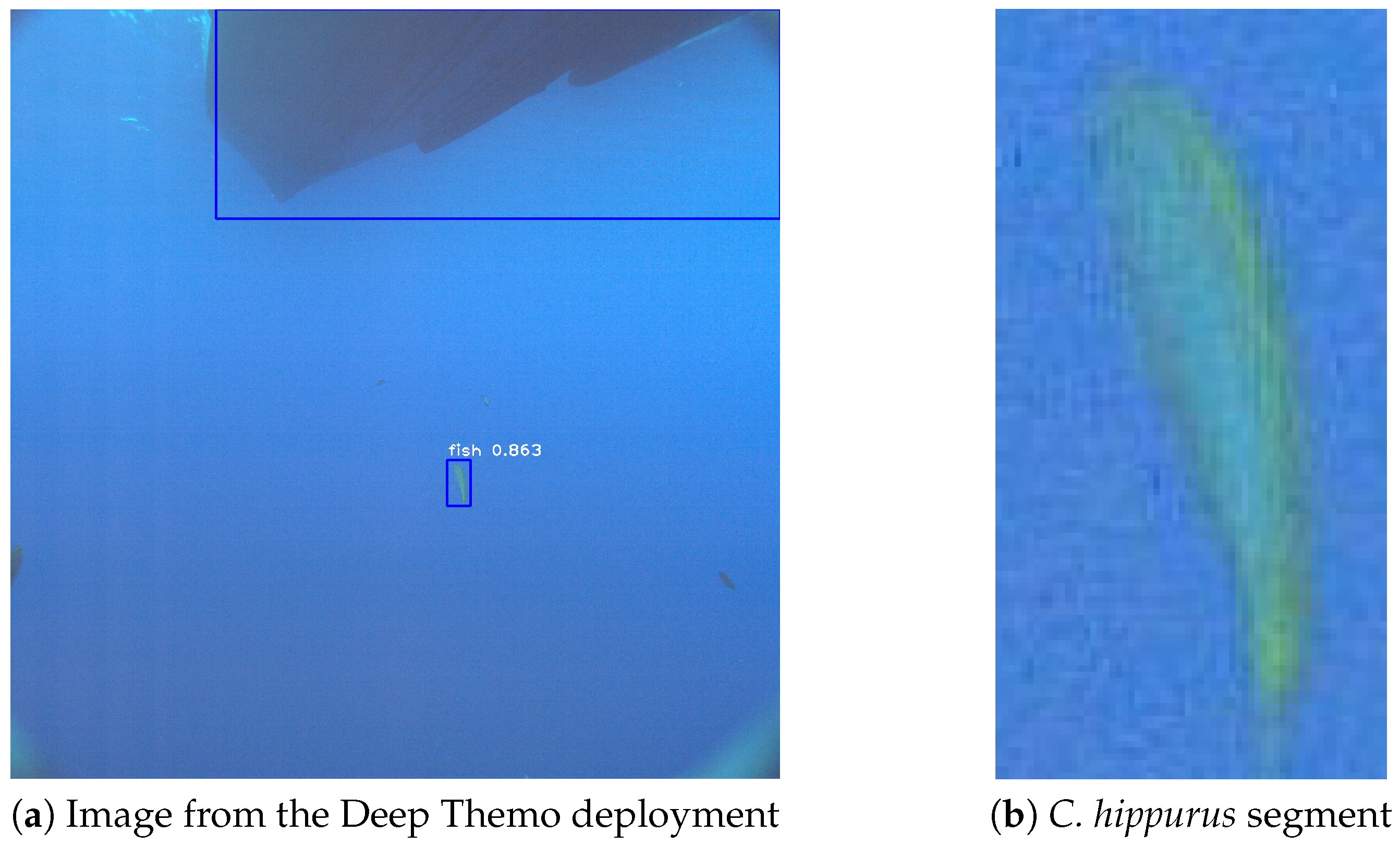 Jmse 10 00736 g009 550