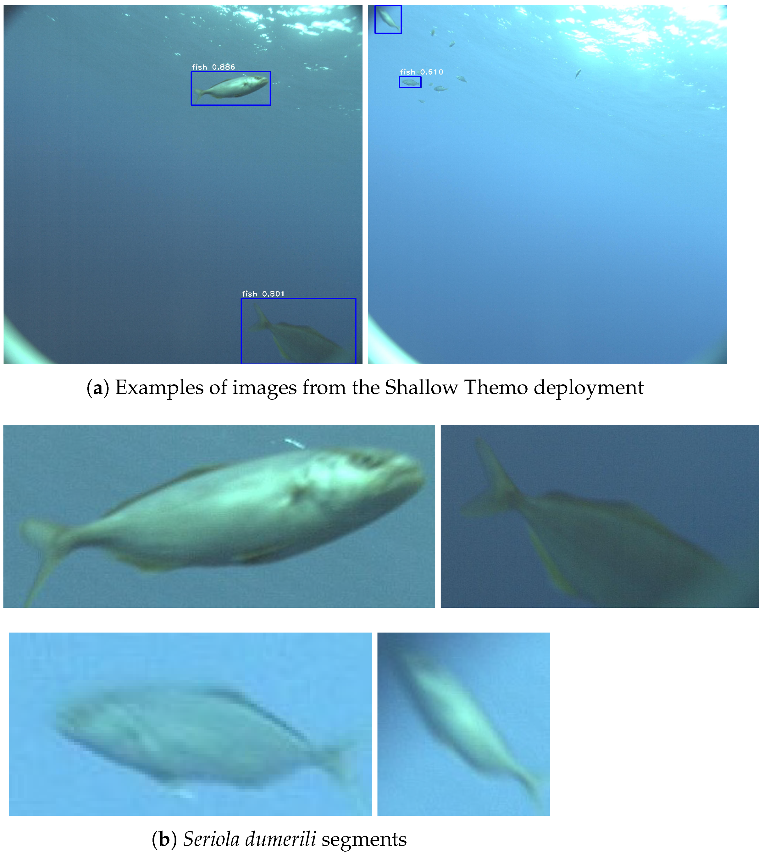 Jmse 10 00736 g010 550