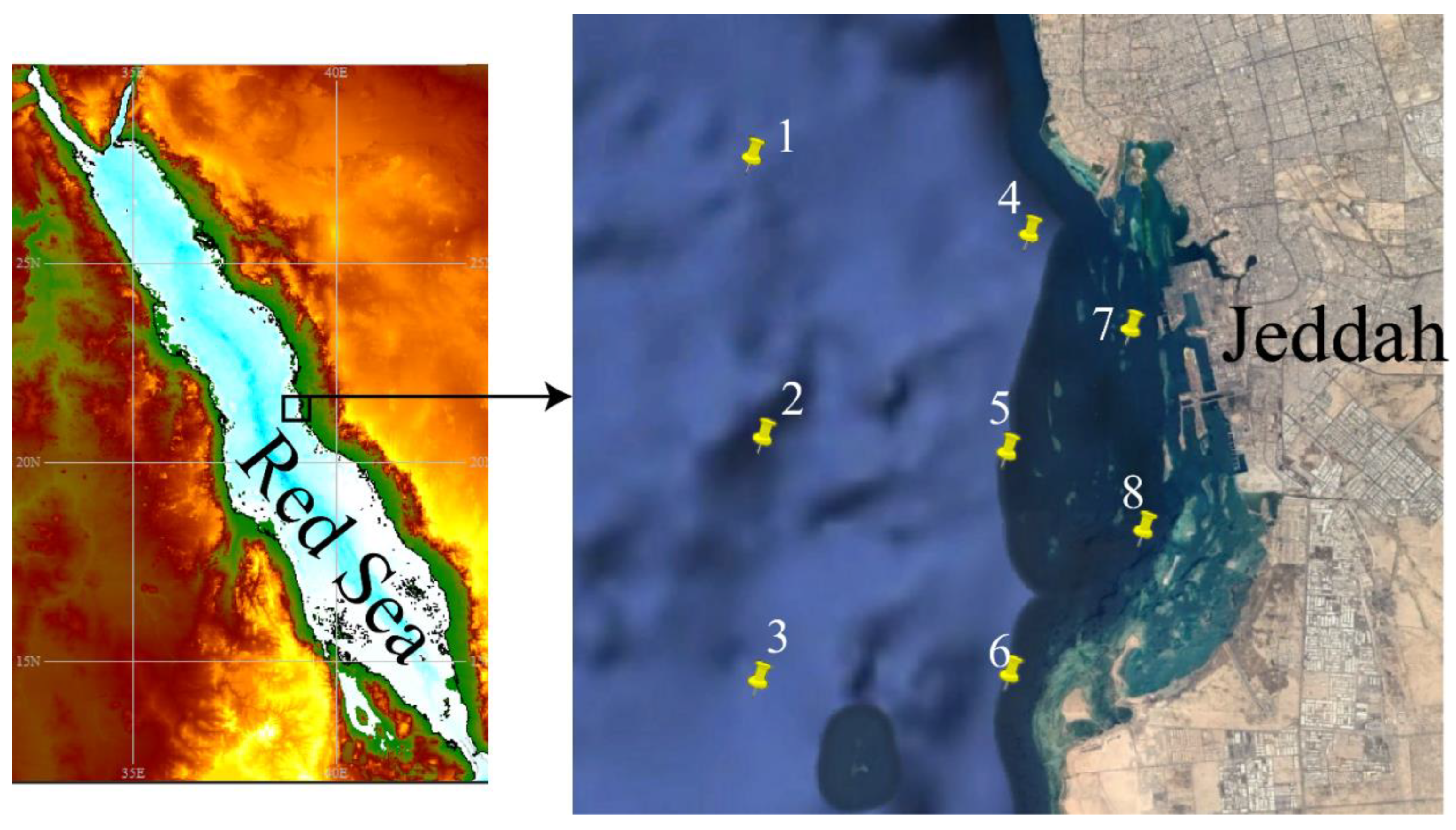 Jmse 10 00748 g001 550