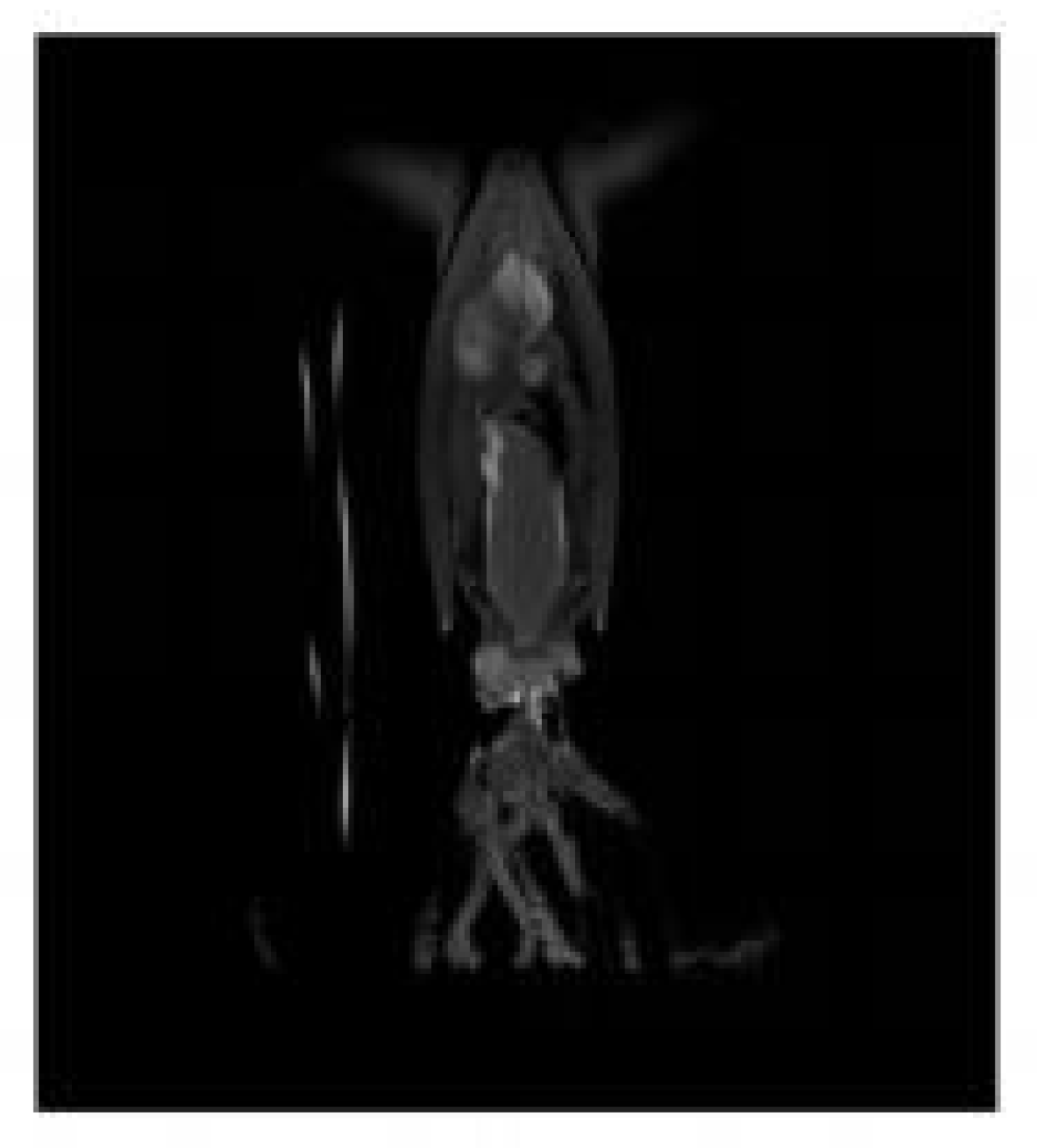 Jmse 10 00782 g001 550