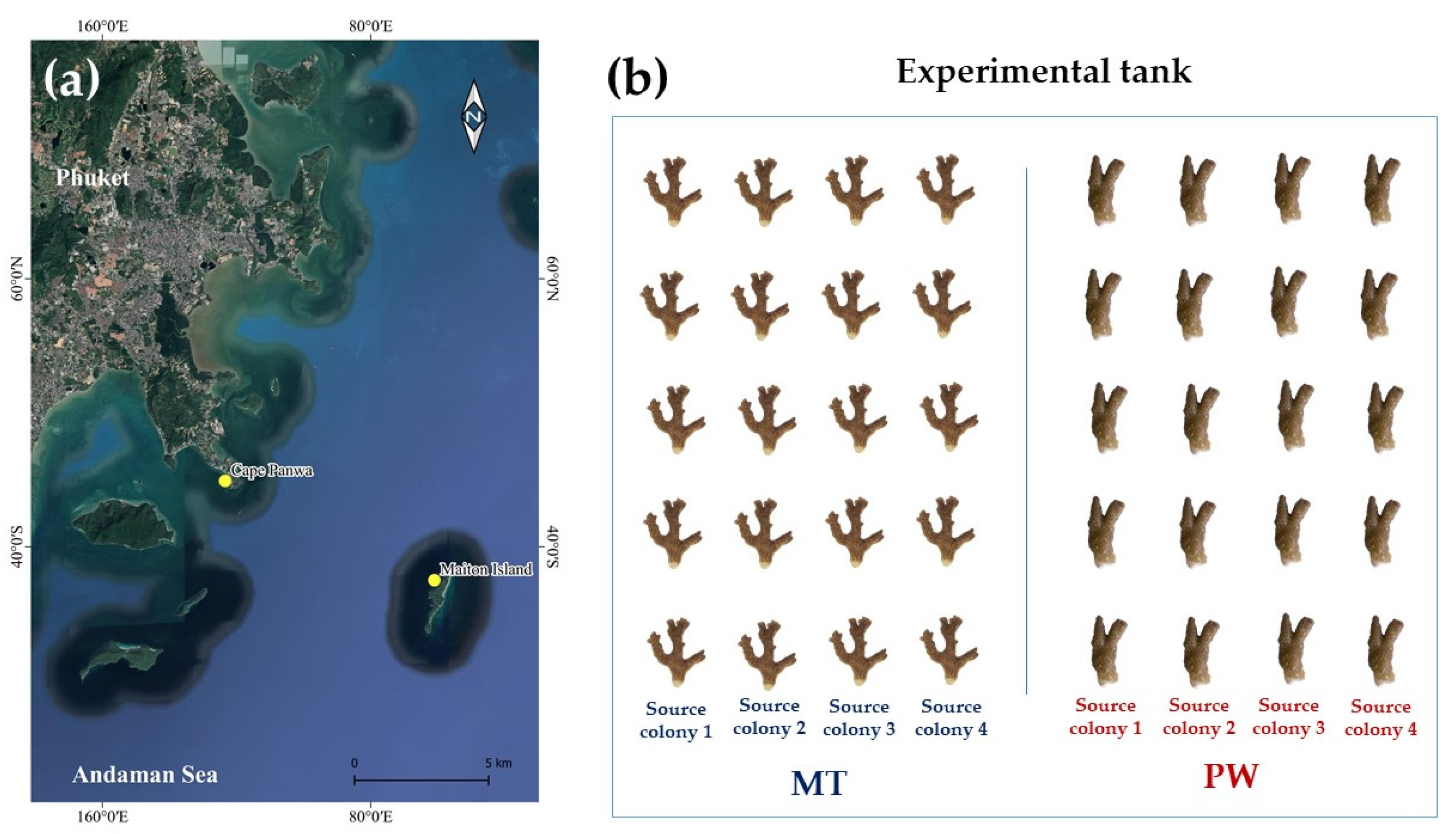 Jmse 10 00790 g001 Jmse 10 00790 g001