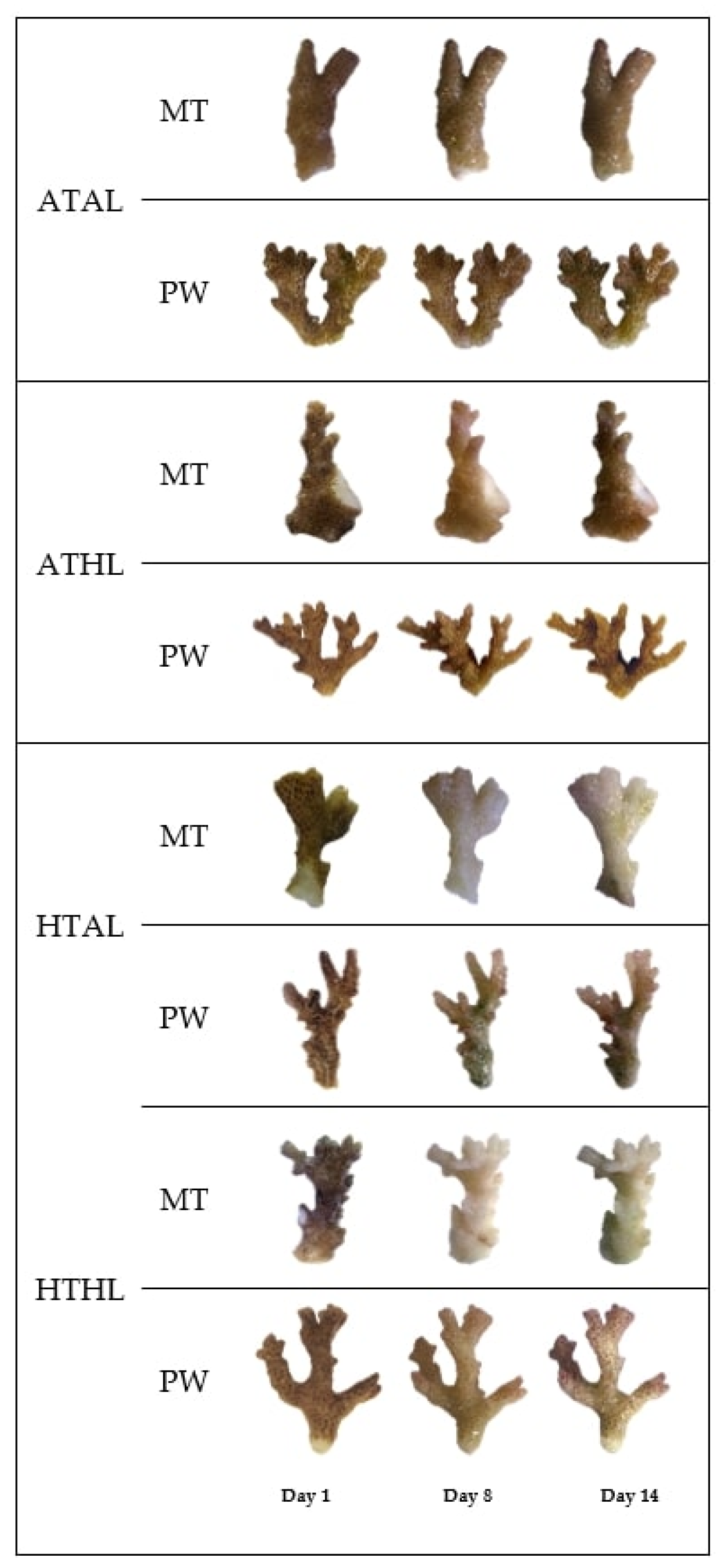 Jmse 10 00790 g007 Jmse 10 00790 g007
